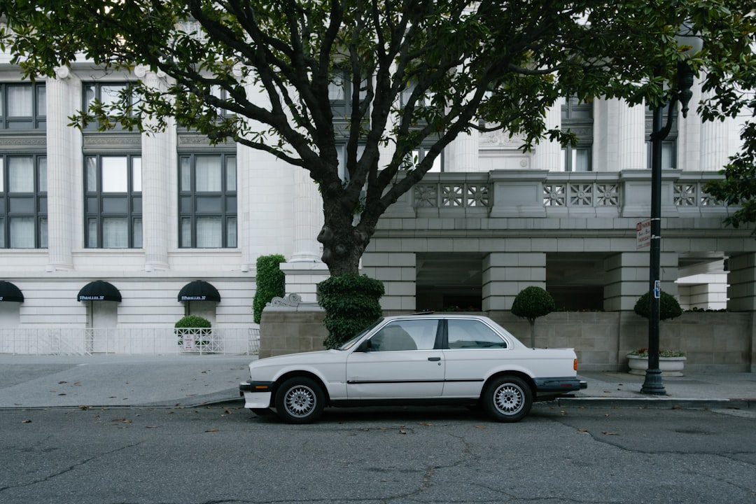 white sedan parked near green tree during daytime