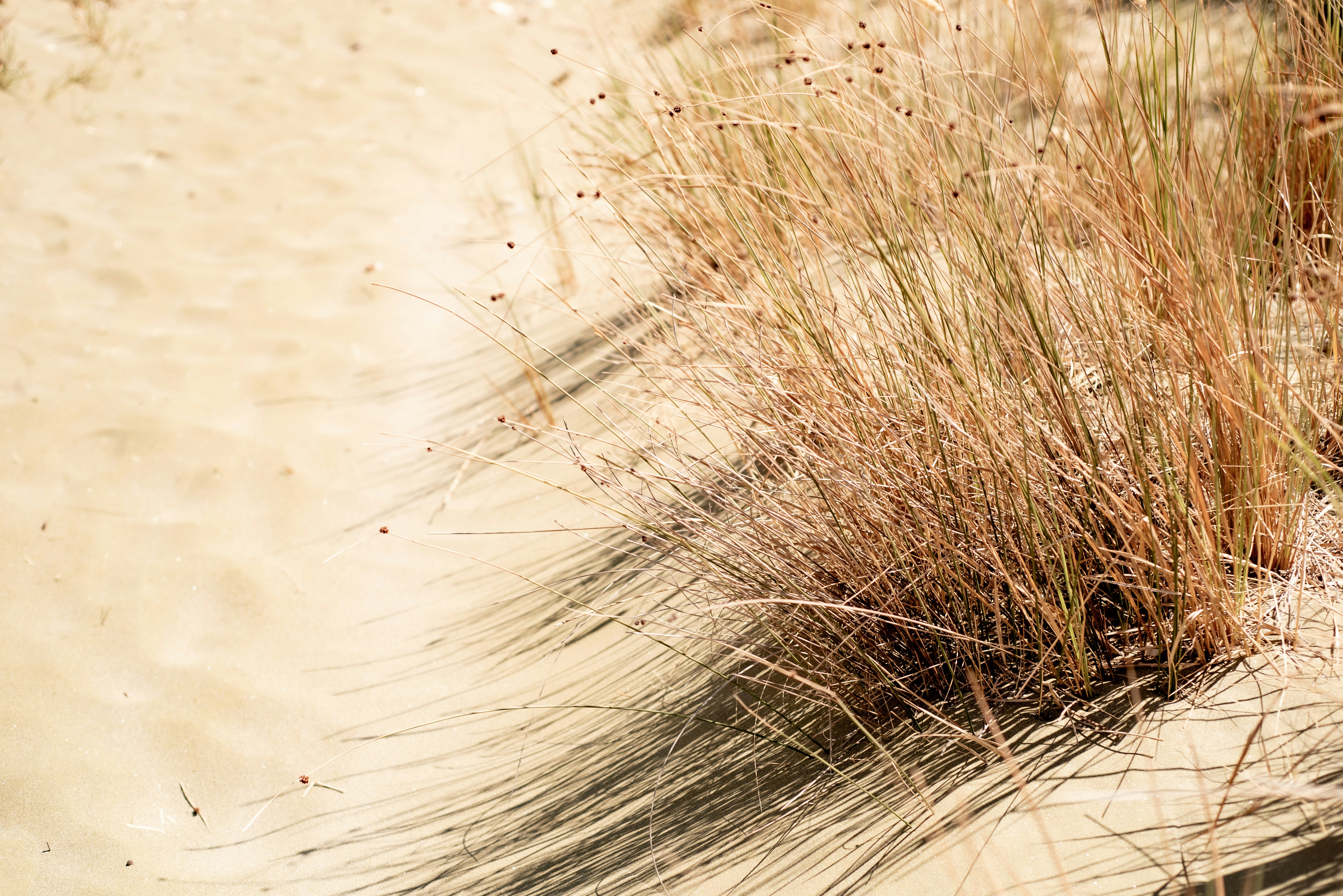 Photo by lauraadaiphoto