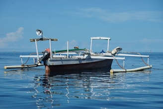 A sleek fishing boat equipped with electric motors and fishing platforms on calm waters.