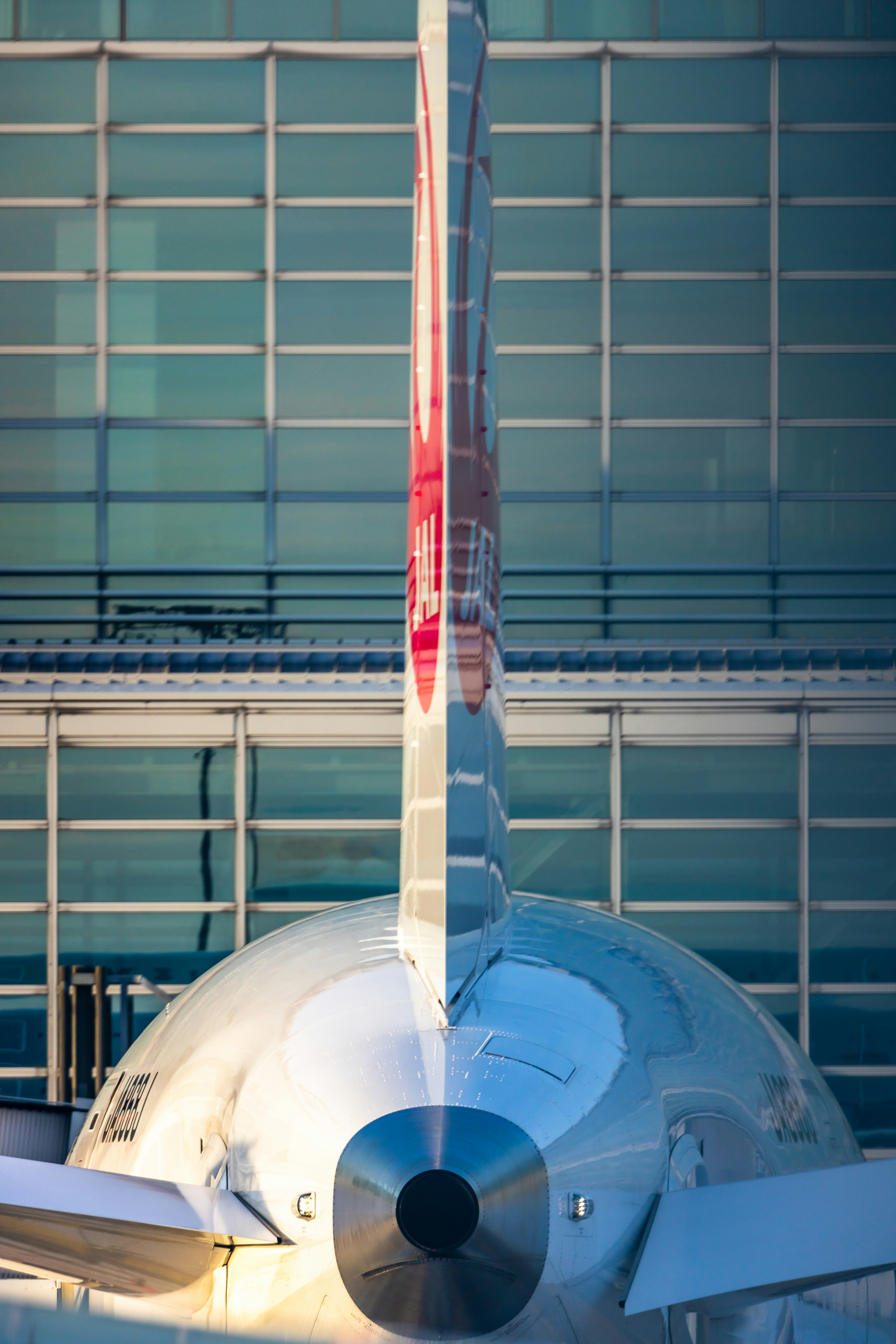Arriving at Narita or Haneda — What Happens at Immigration