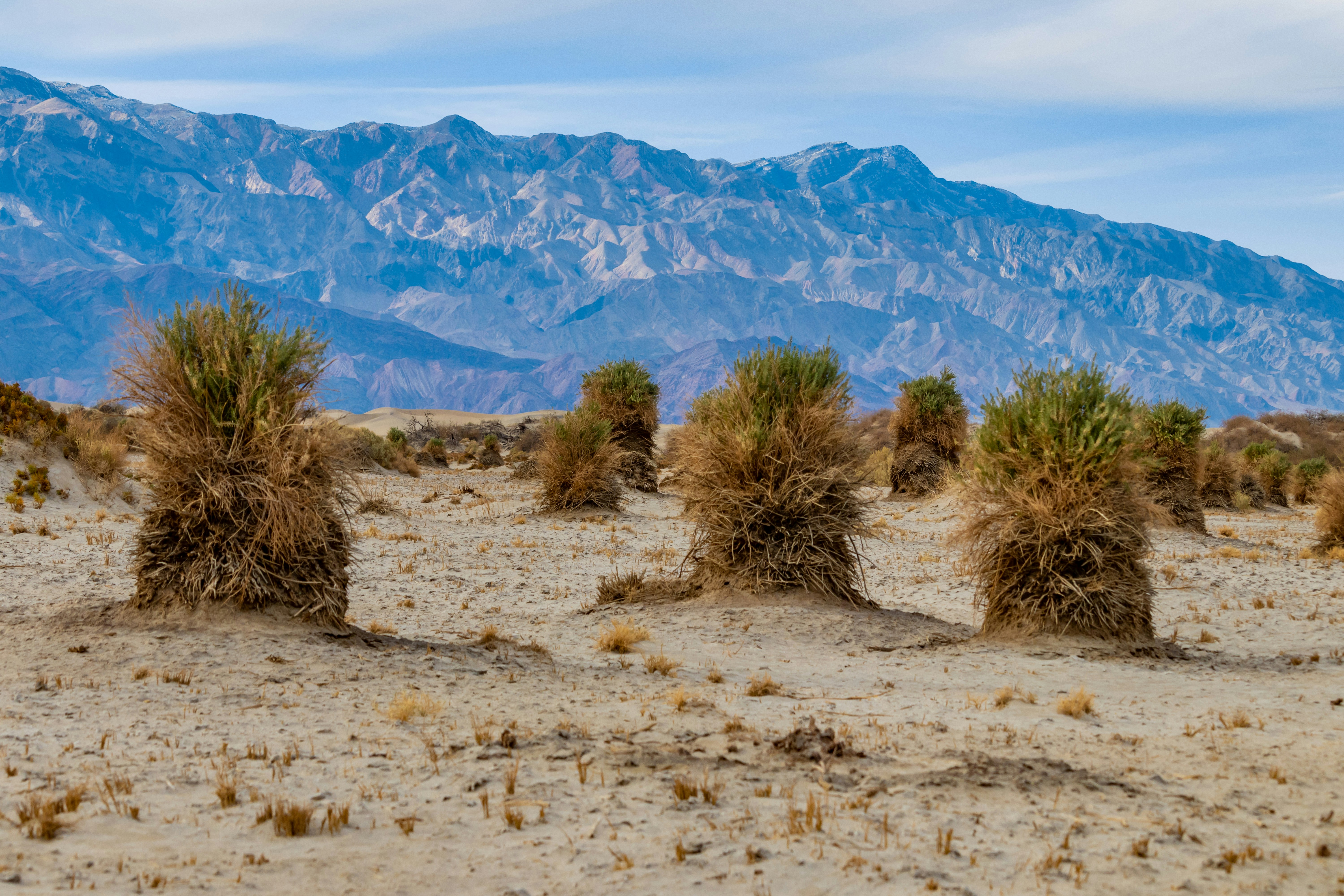 Photo by rs2photography