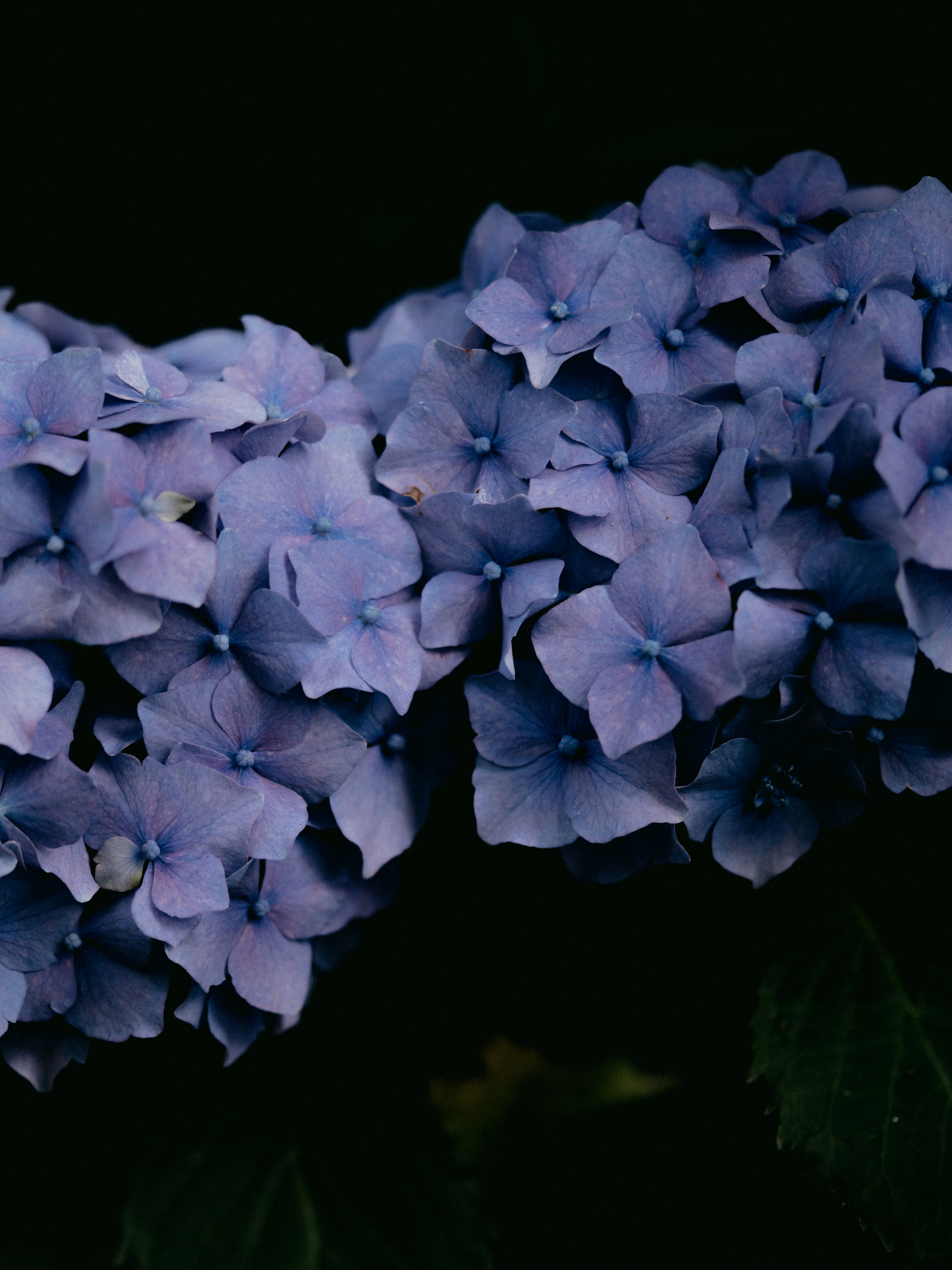 Photo by anniespratt