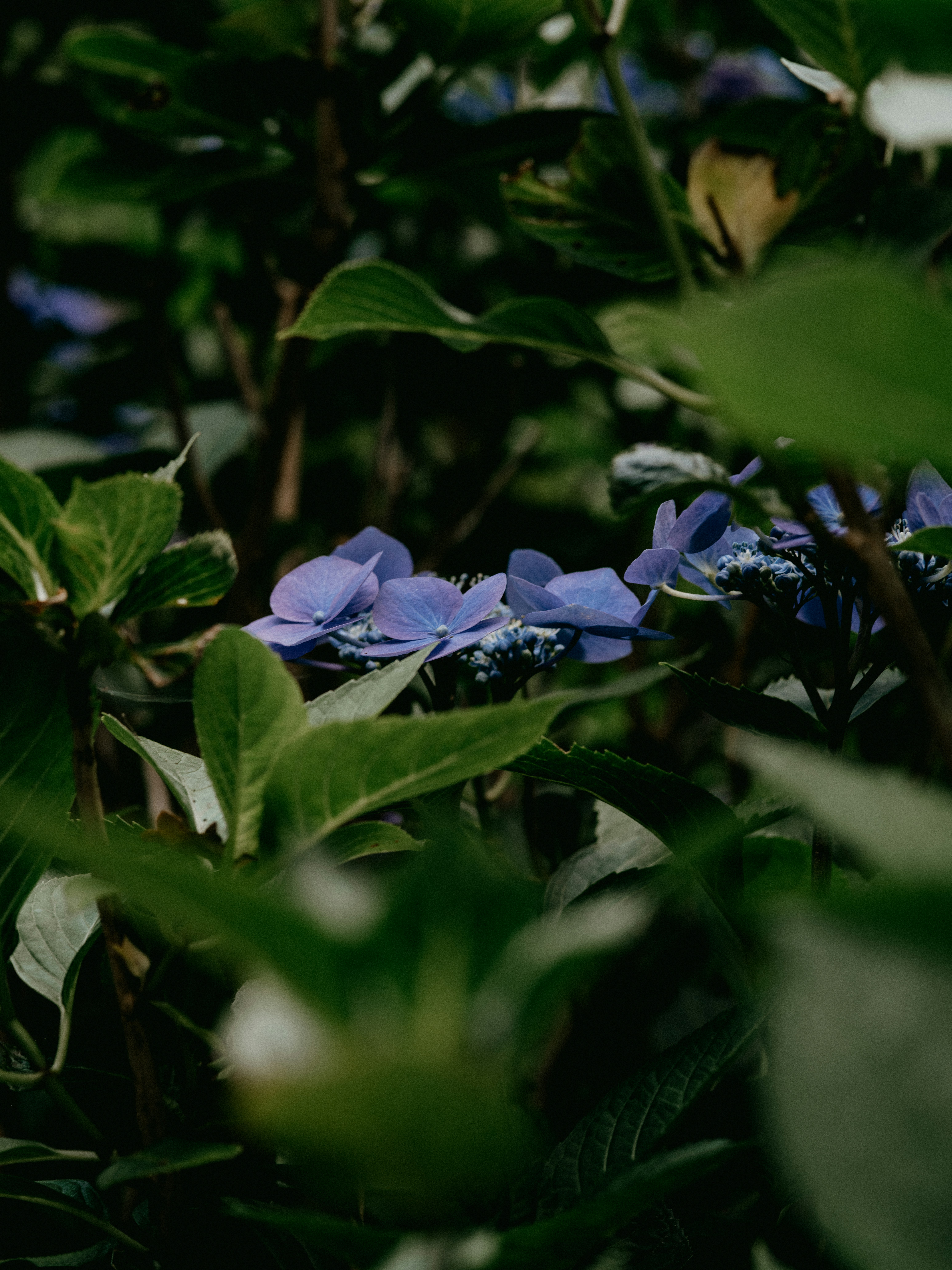 Photo by anniespratt