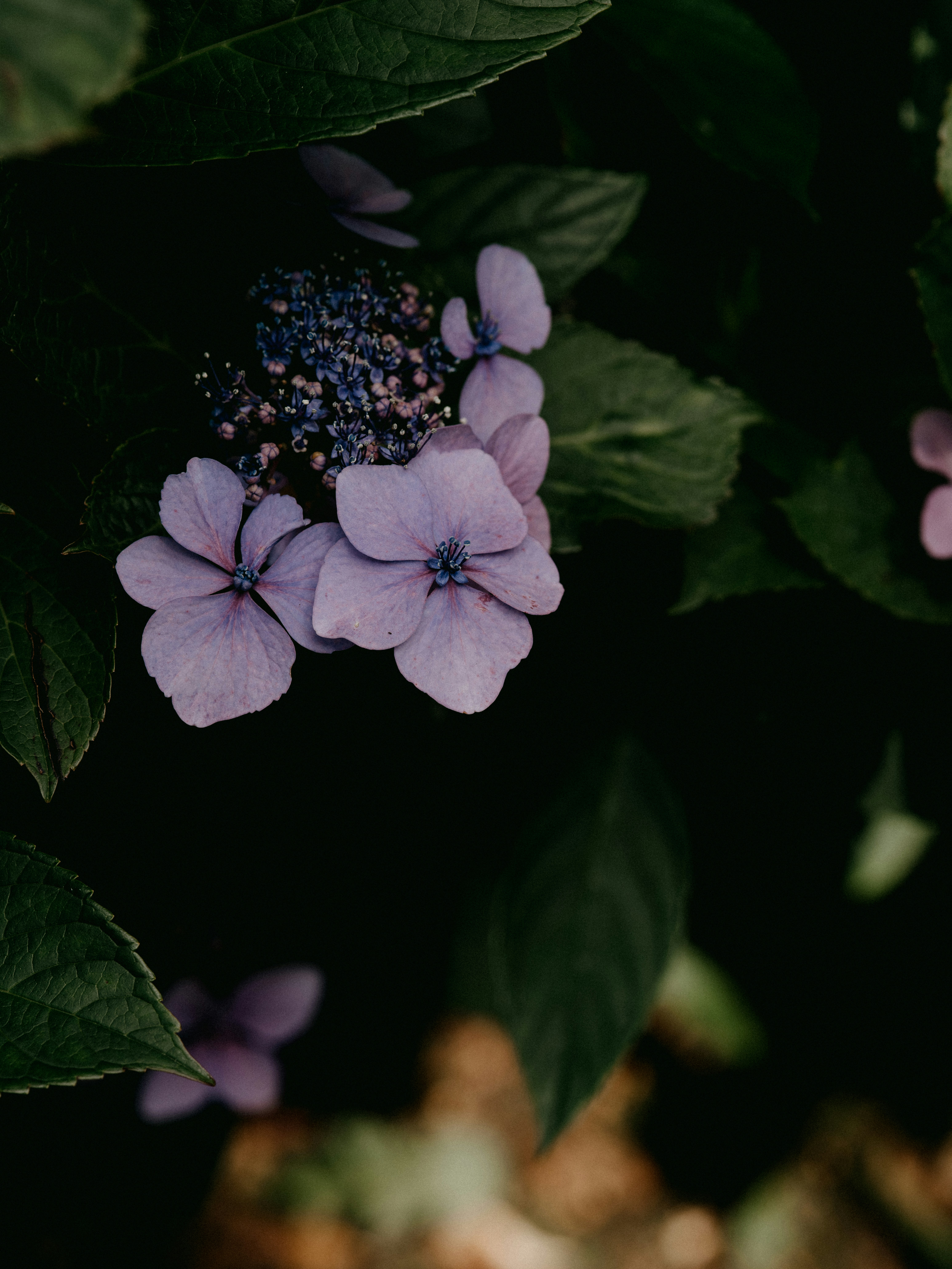 Photo by anniespratt