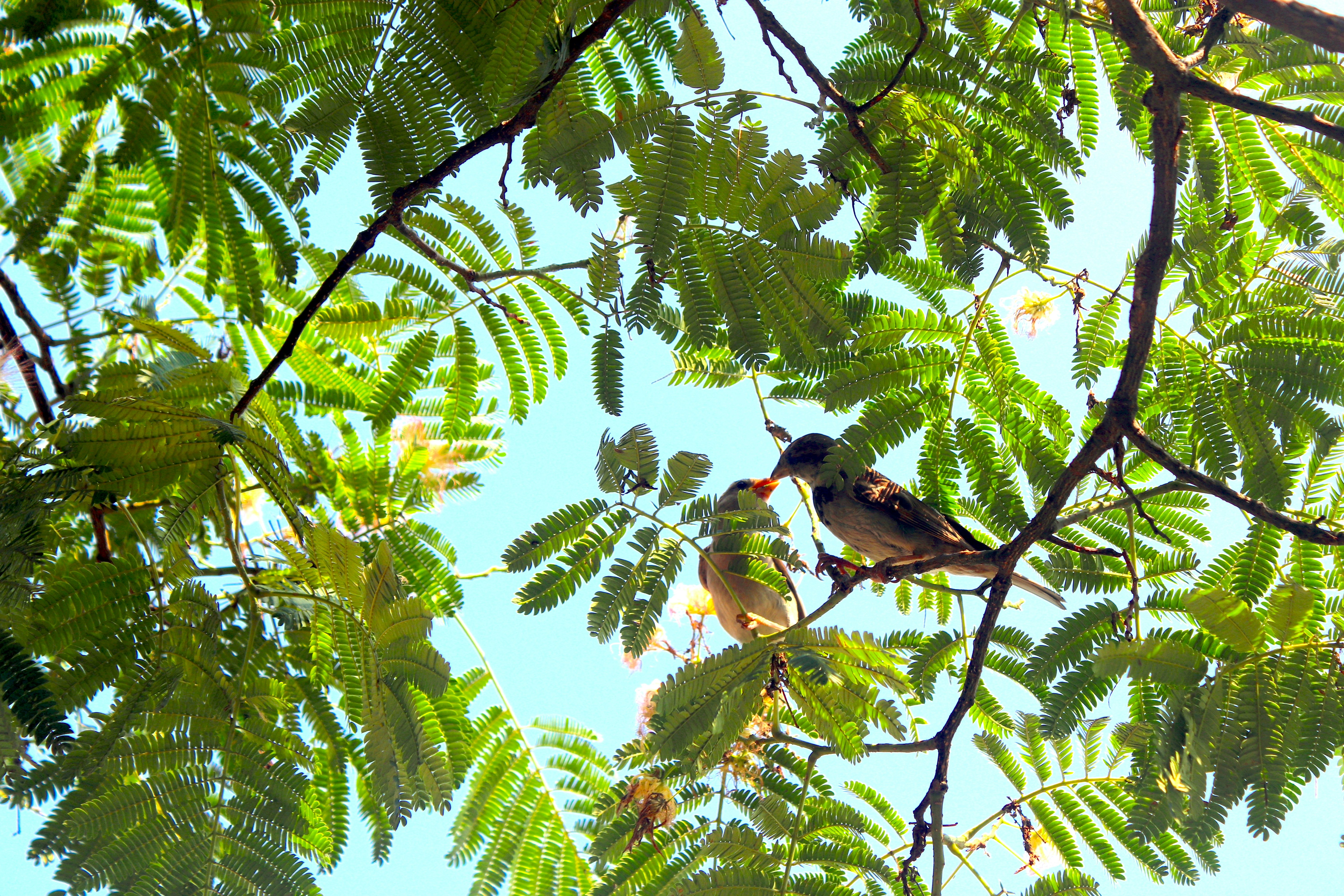 Photo by andrea_gorini