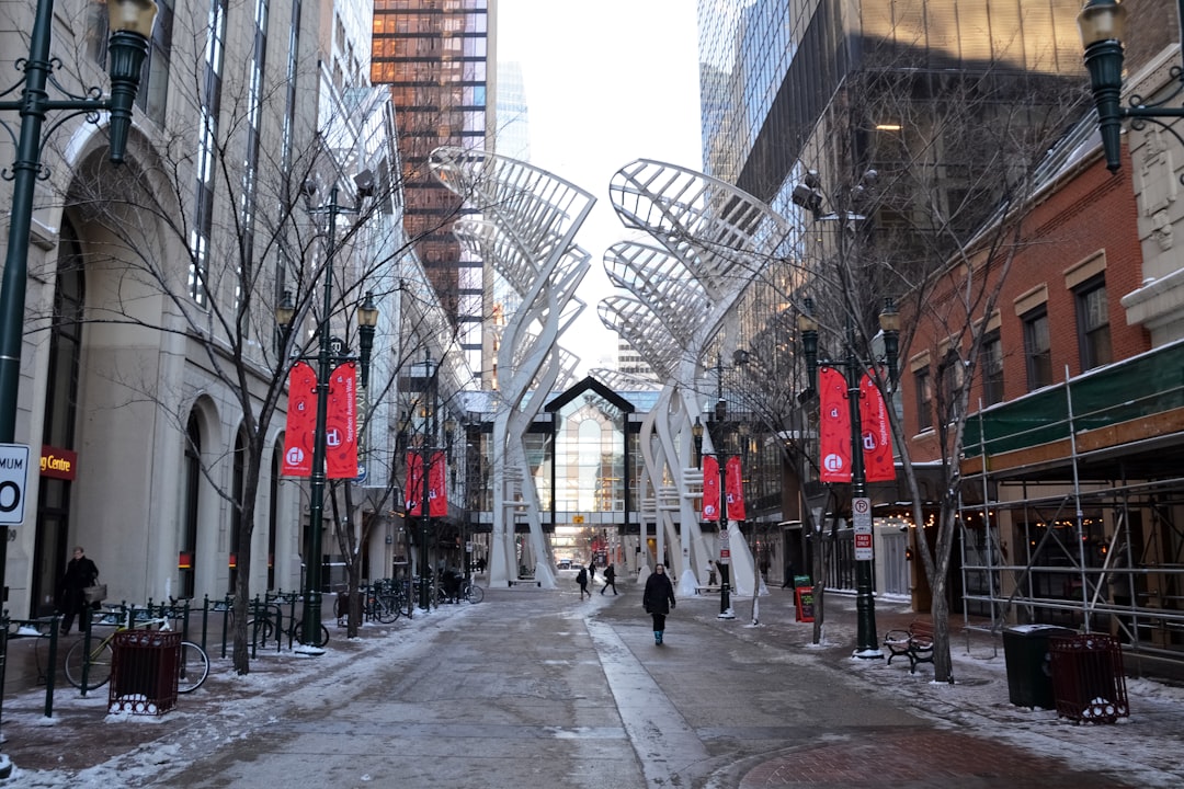 people walking on street during daytime