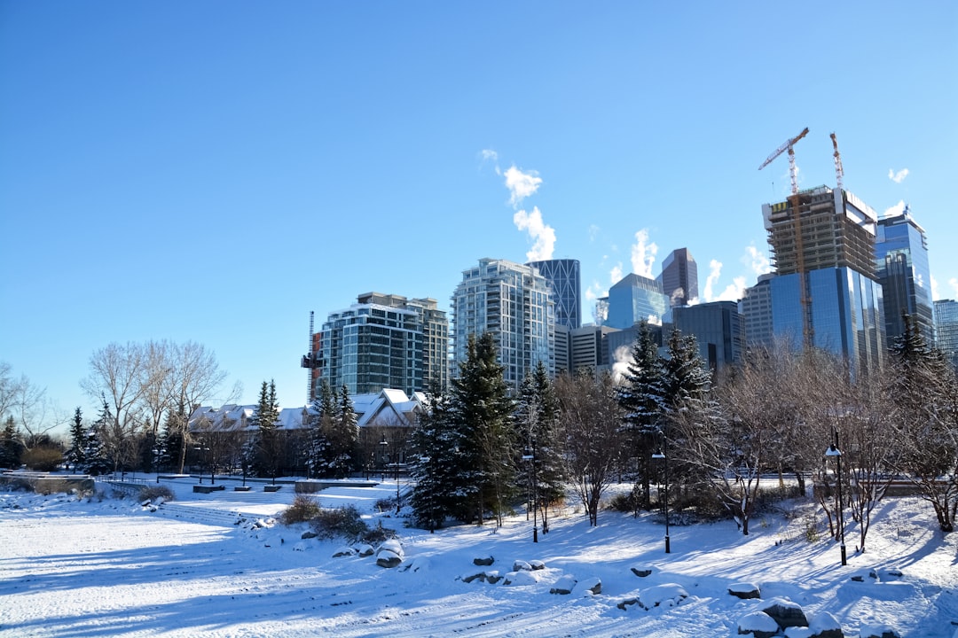 snow covered field with trees and buildings in distance under blue sky during daytime