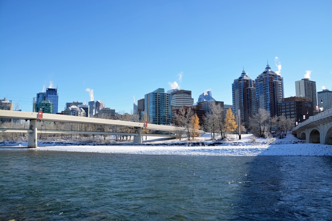 city skyline under blue sky during daytime