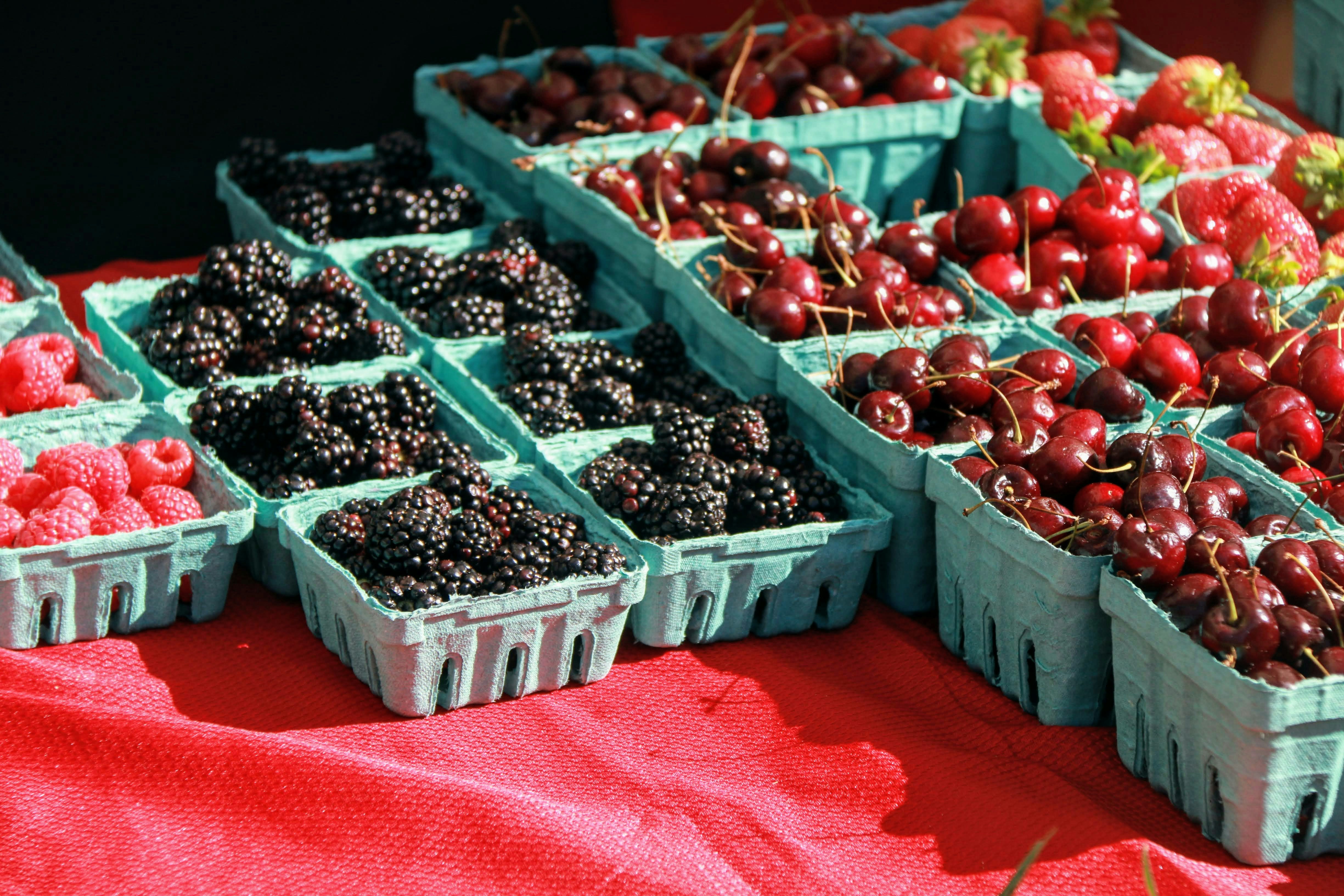 Bursa’da Ahududu Üreticisine 31 Bin Fidan Desteği - Gündem haberi görseli