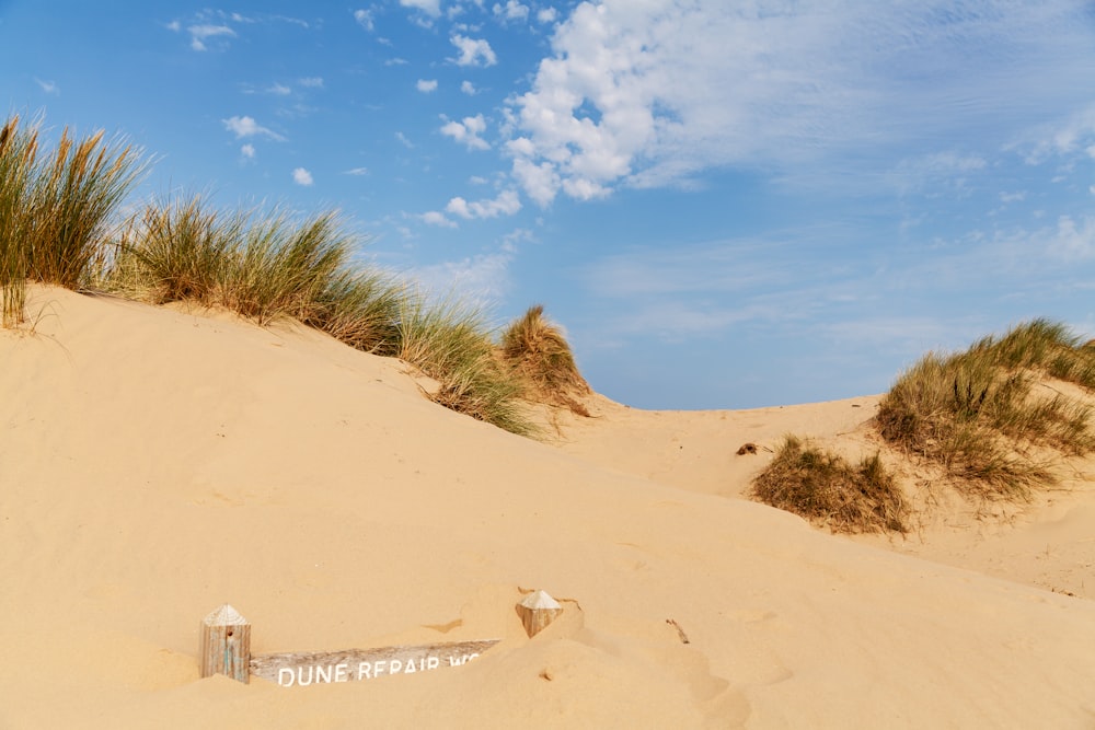 green grass on brown sand under blue sky during daytime