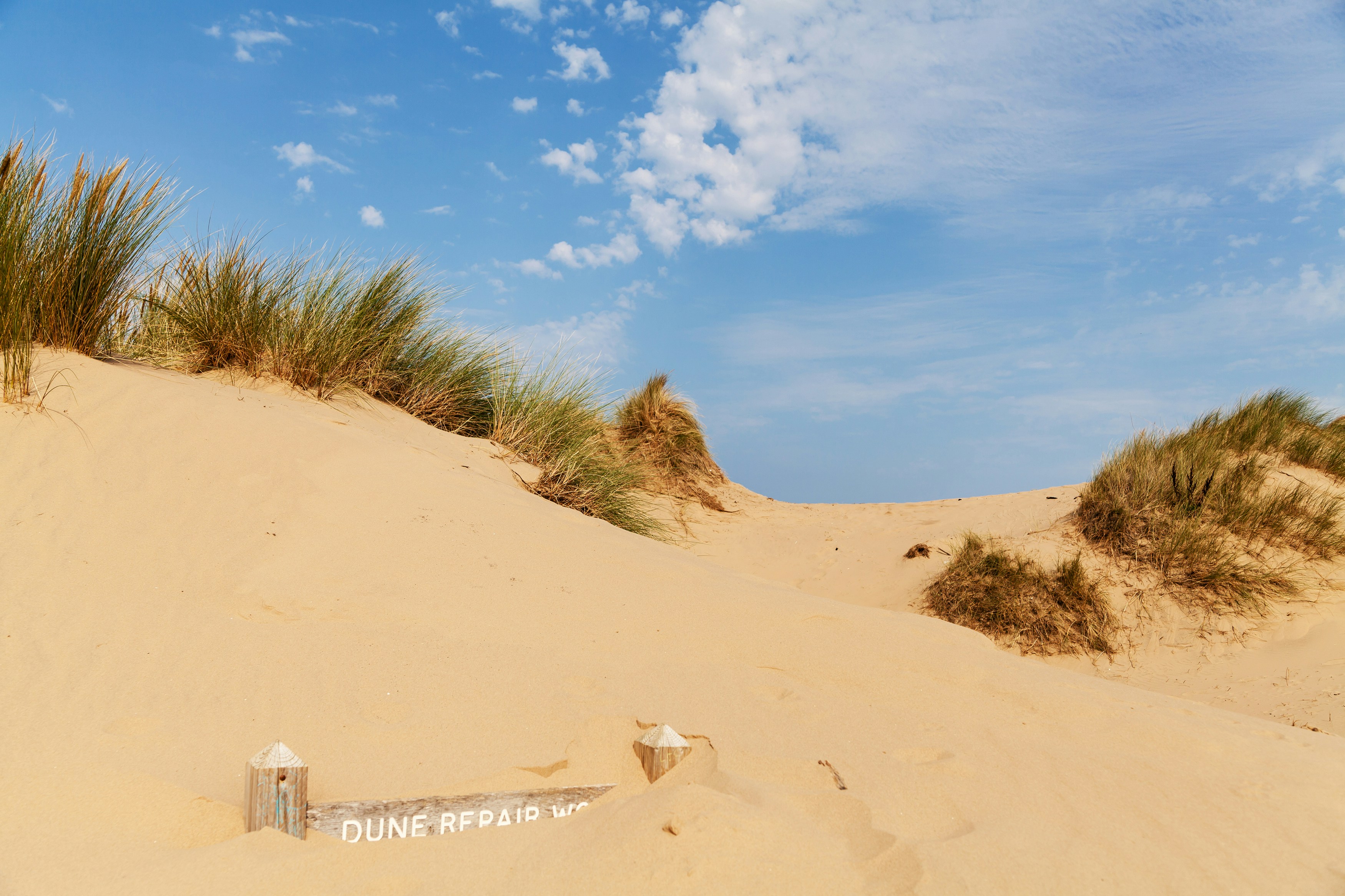 green grass on brown sand under blue sky during daytime