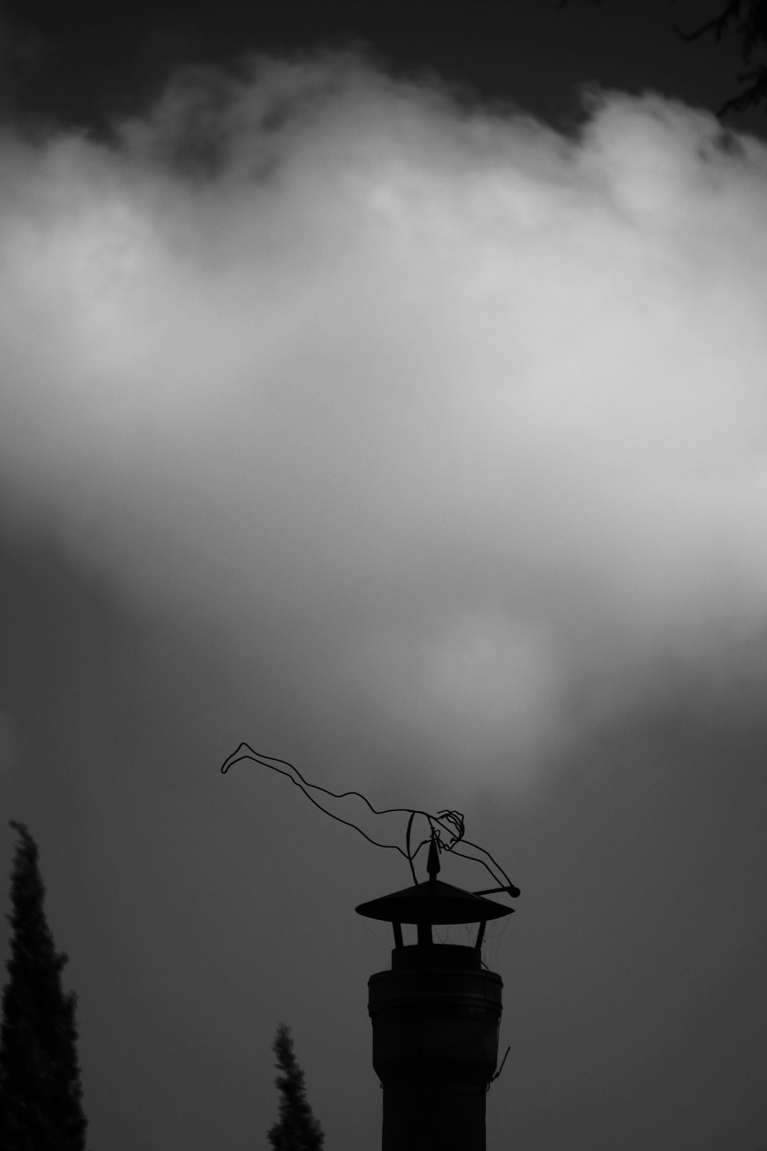 silhouette of bird on wire