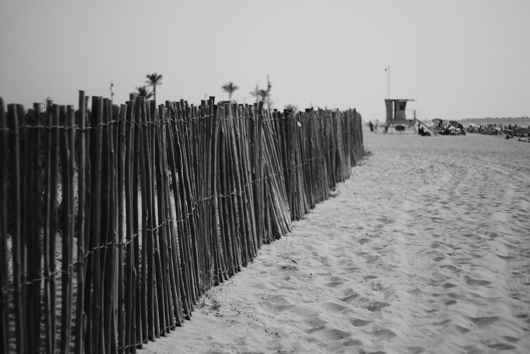 grayscale photo of wooden fence on sand