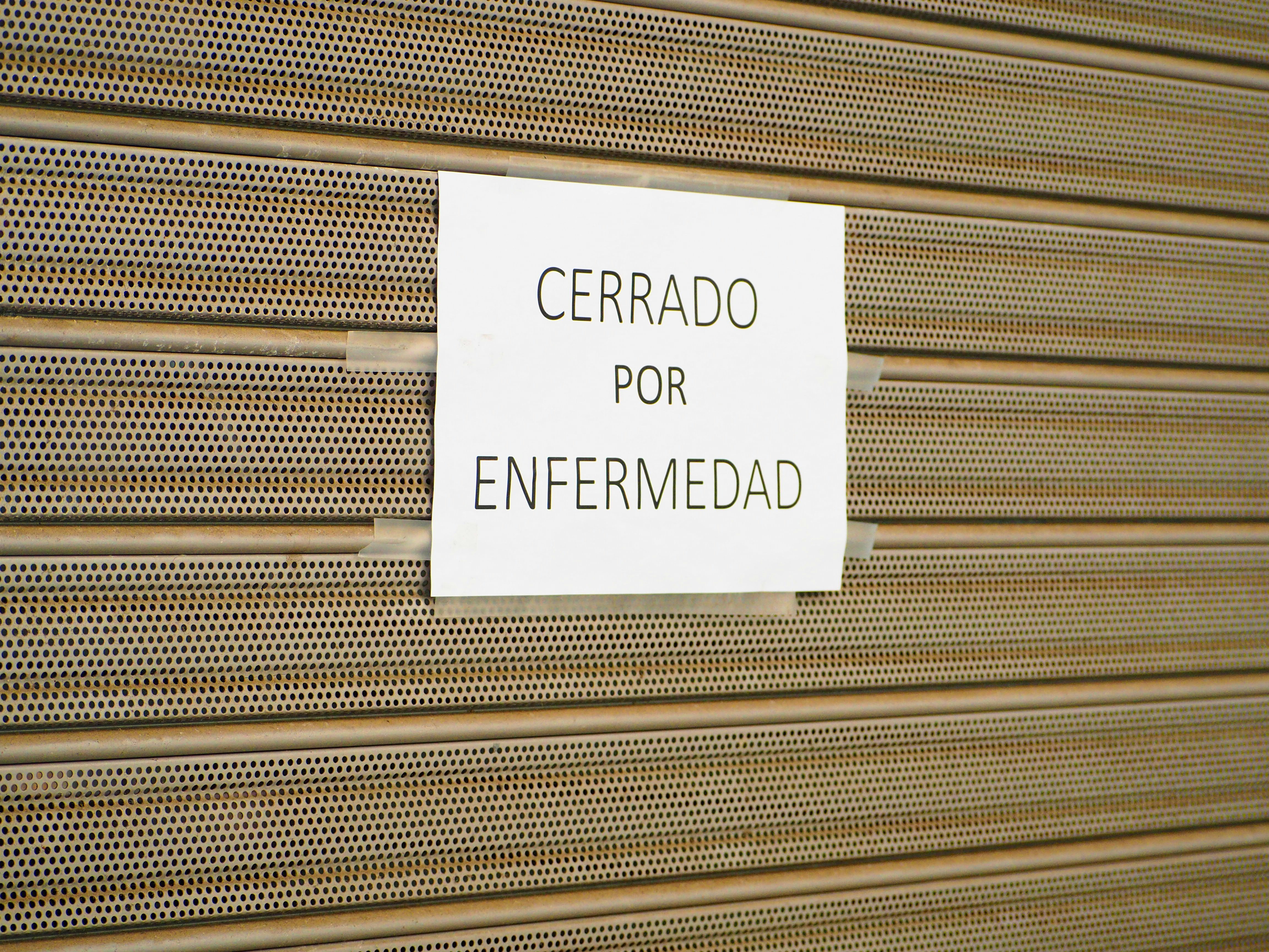 Inteligencia empresarial en El Ejido