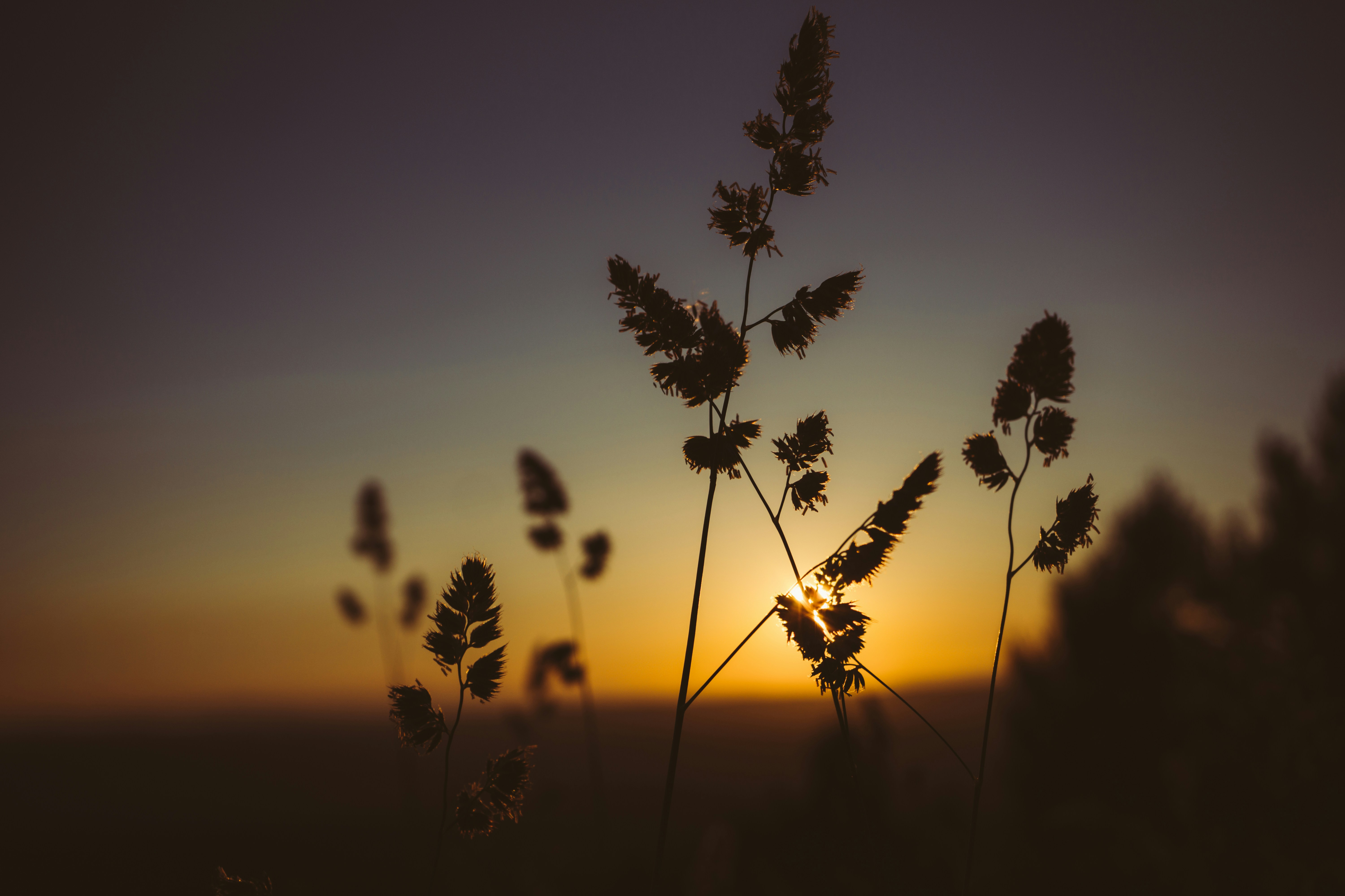 Photo by aperturevintage