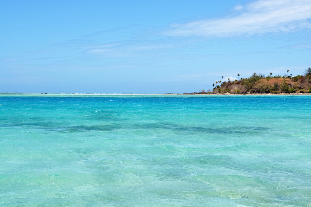 green trees on island surrounded by blue sea under blue sky during daytime