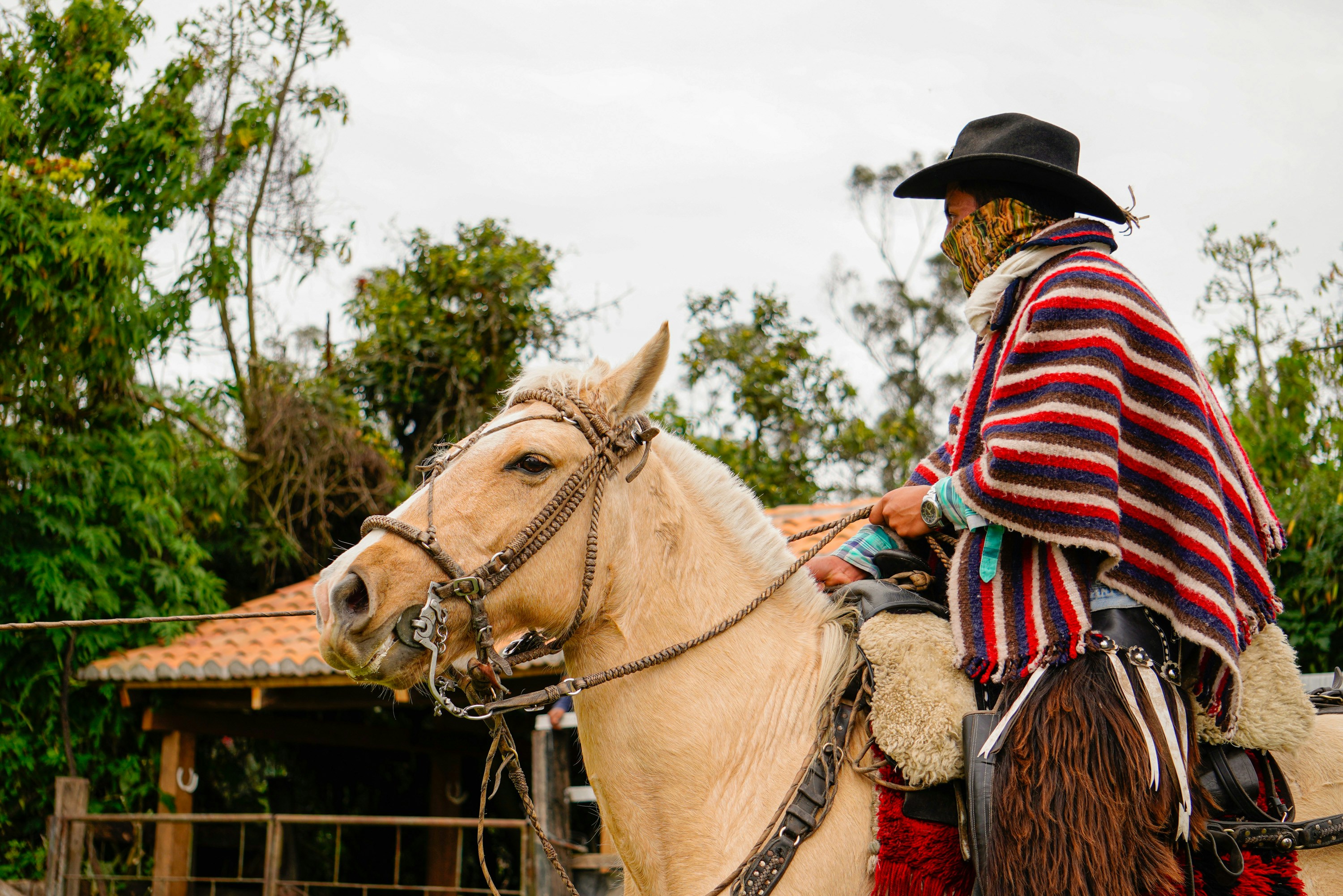 Photo by kiyoshi_jpg