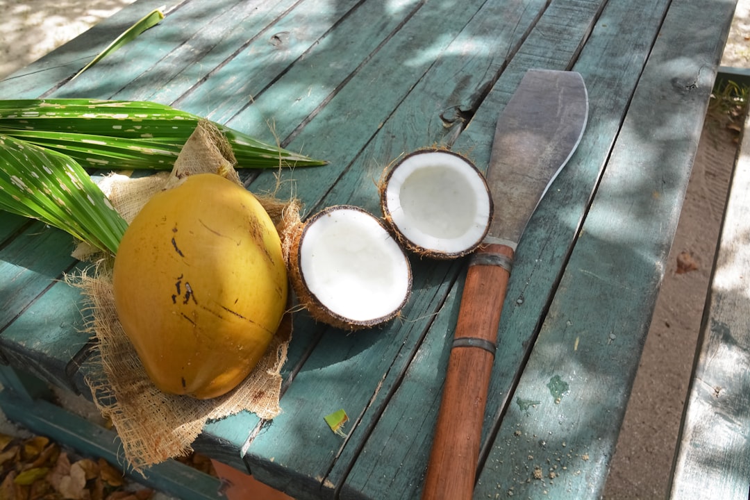 brown wooden handle knife beside white ceramic bowl