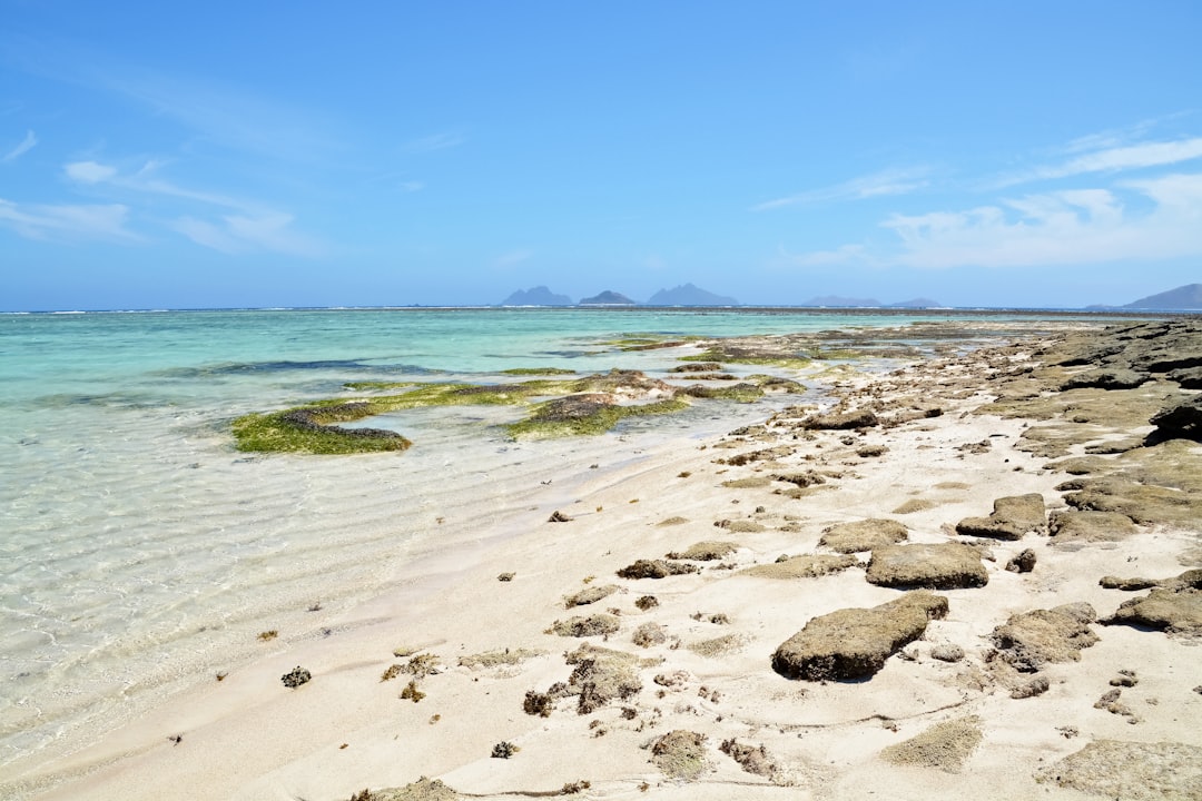 gray rocks on seashore under blue sky during daytime