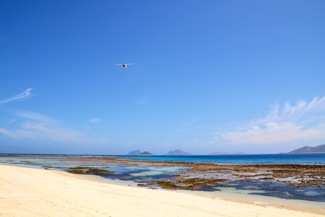 bird flying over the sea during daytime