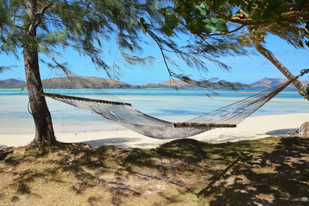 white hammock on beach during daytime