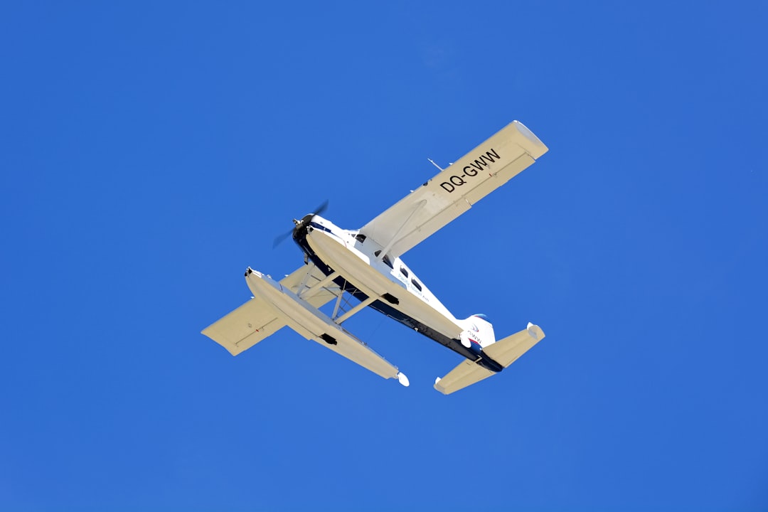 white and black plane under blue sky during daytime