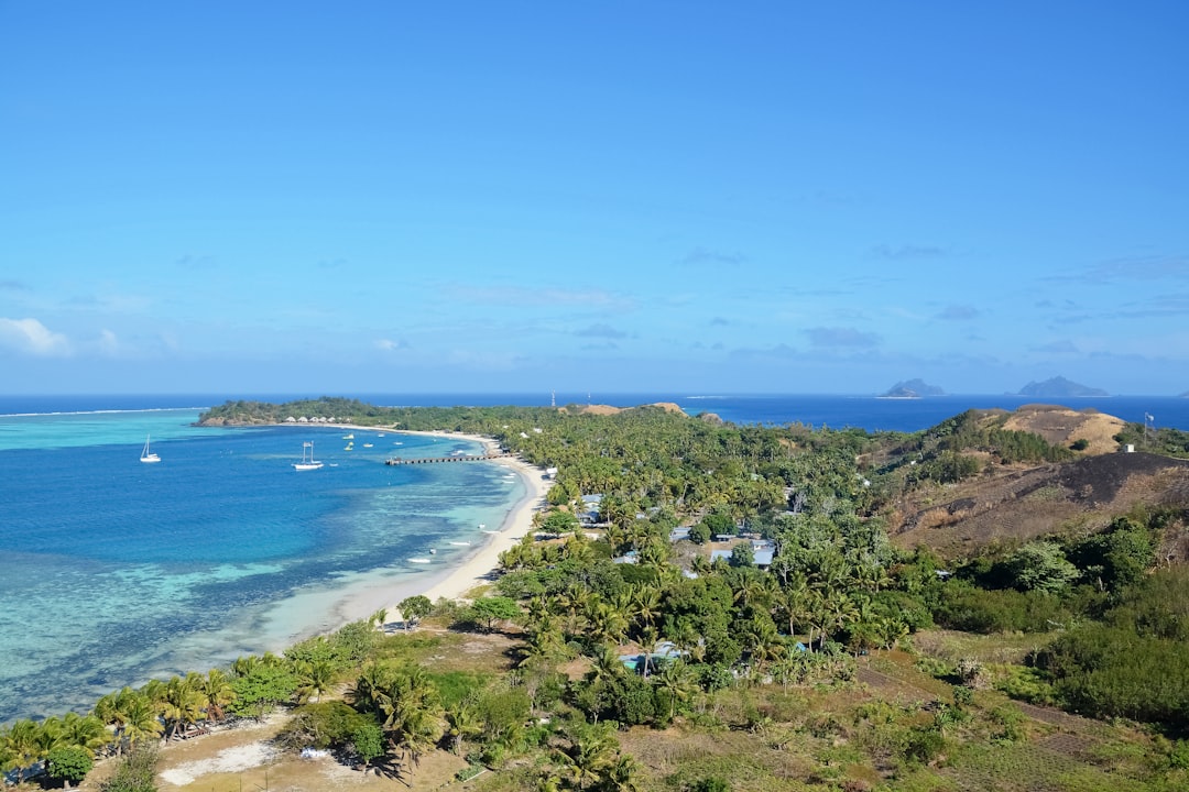 green trees near blue sea under blue sky during daytime