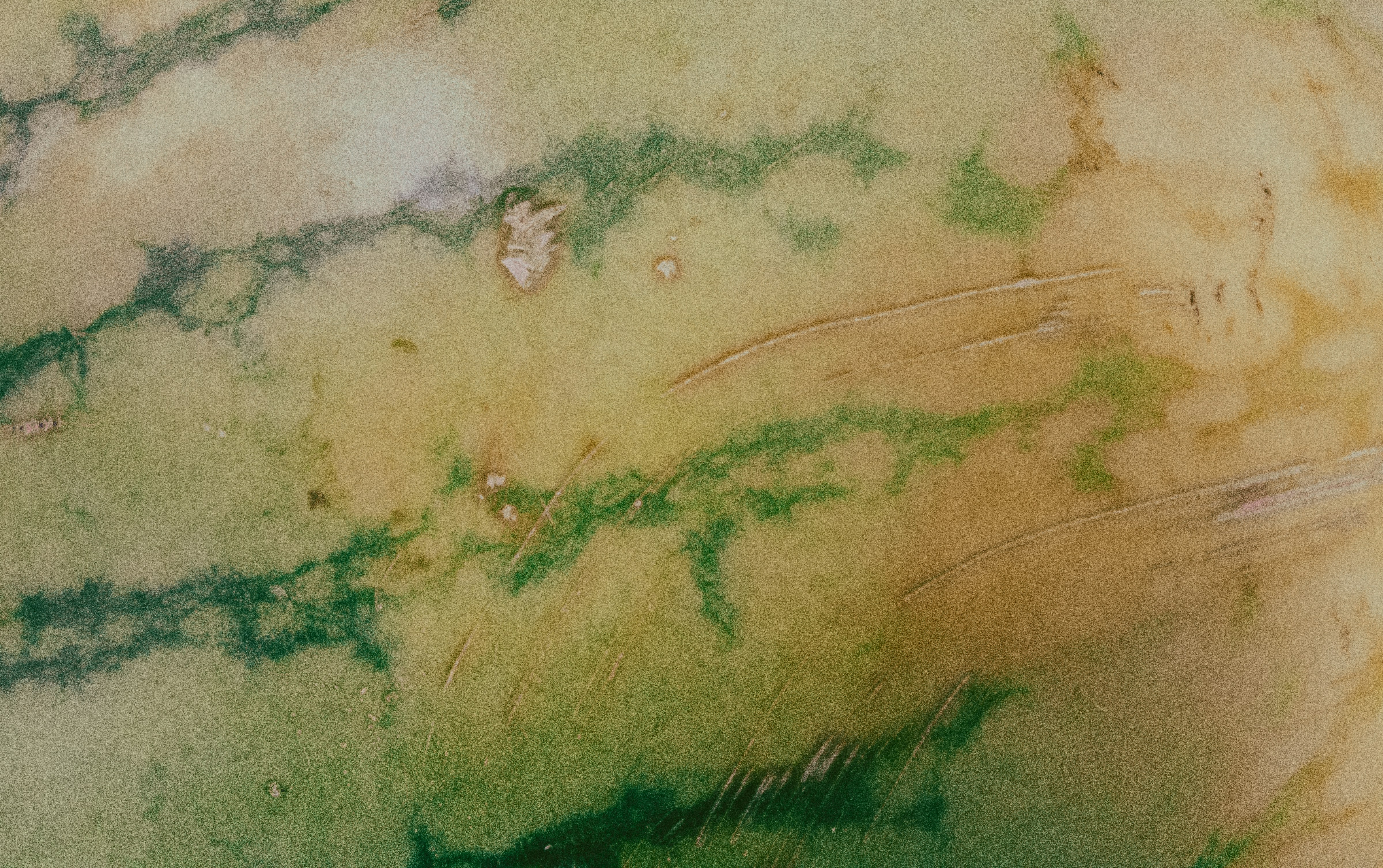 Photo by brianwangenheim