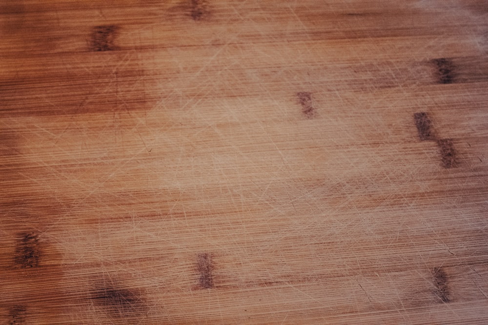 black and white insect on brown wooden surface