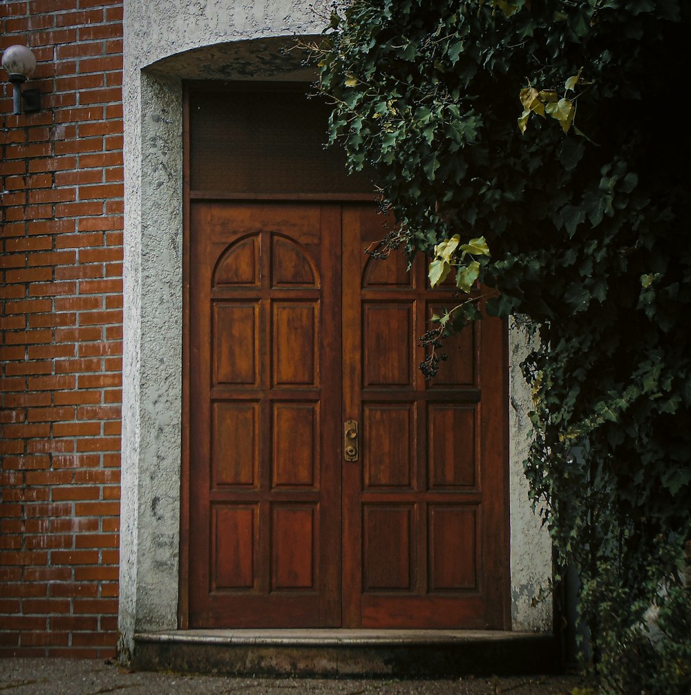 緑の蔓のある茶色の木製のドア
