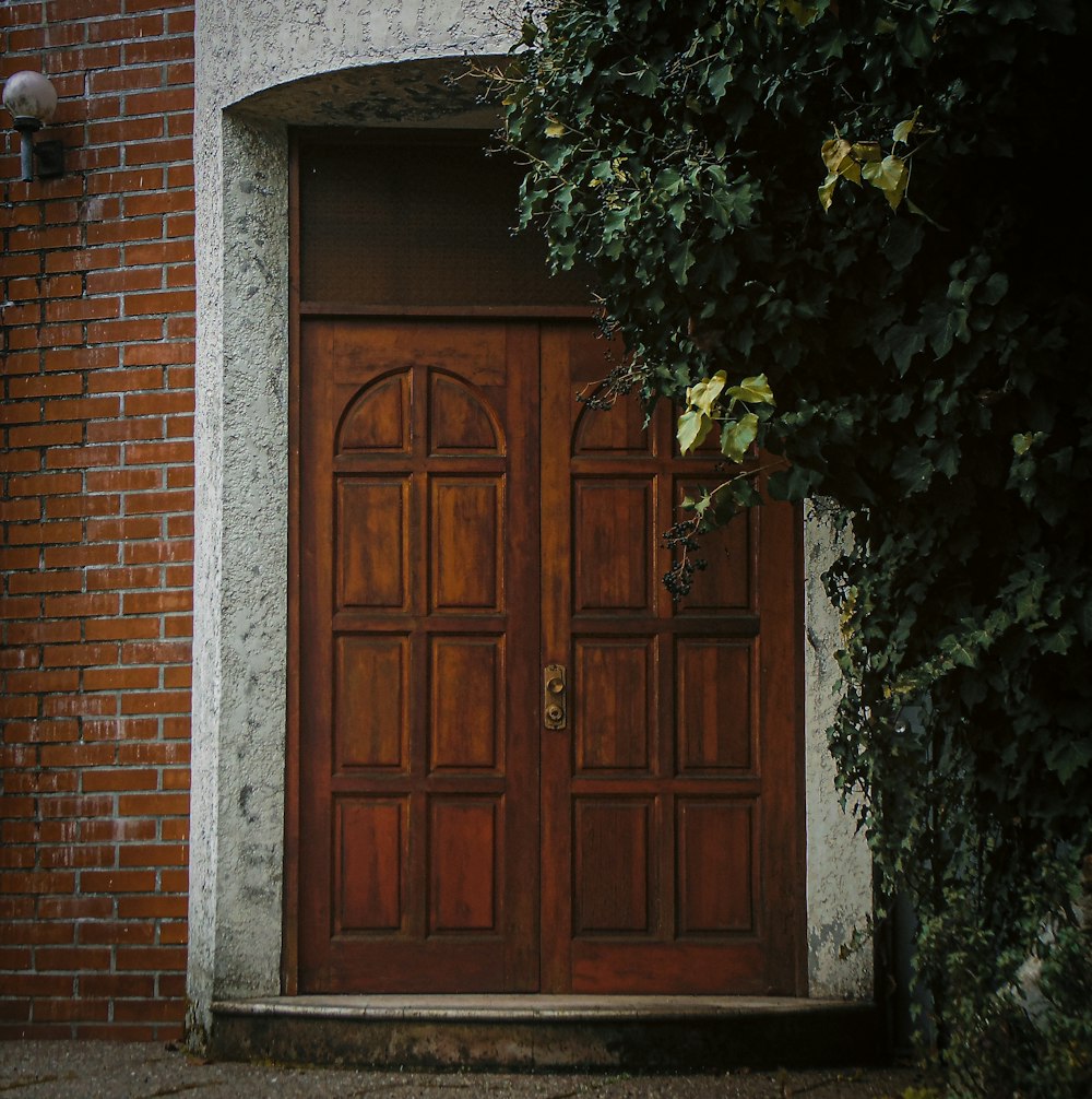 brown wooden door with green vines