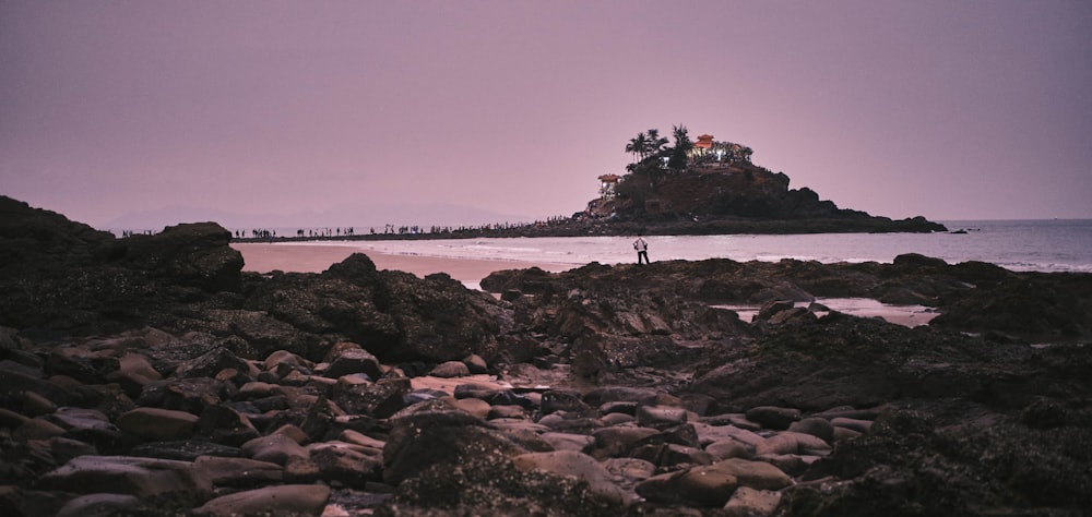 people standing on rocky shore during daytime