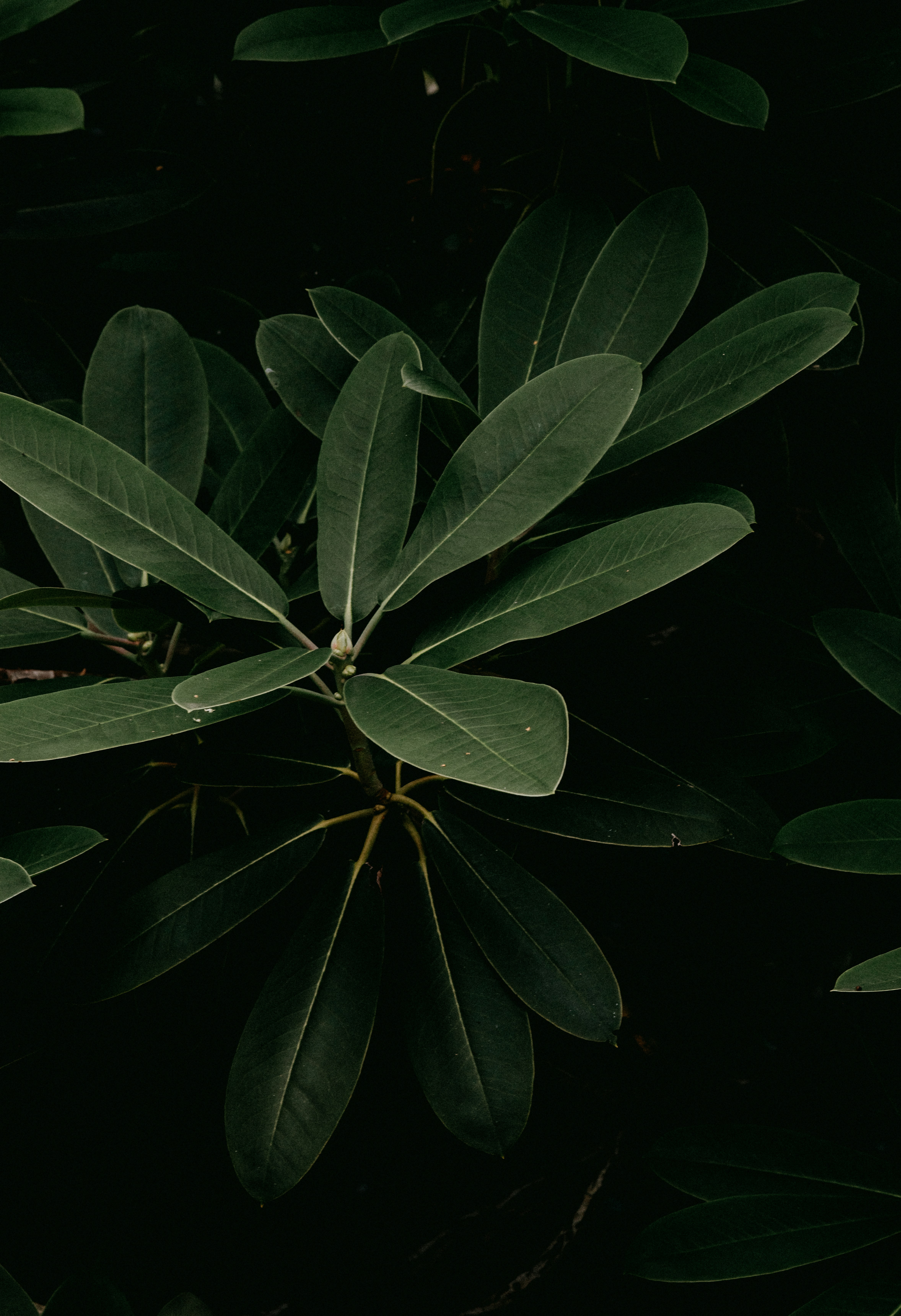 Photo by anniespratt