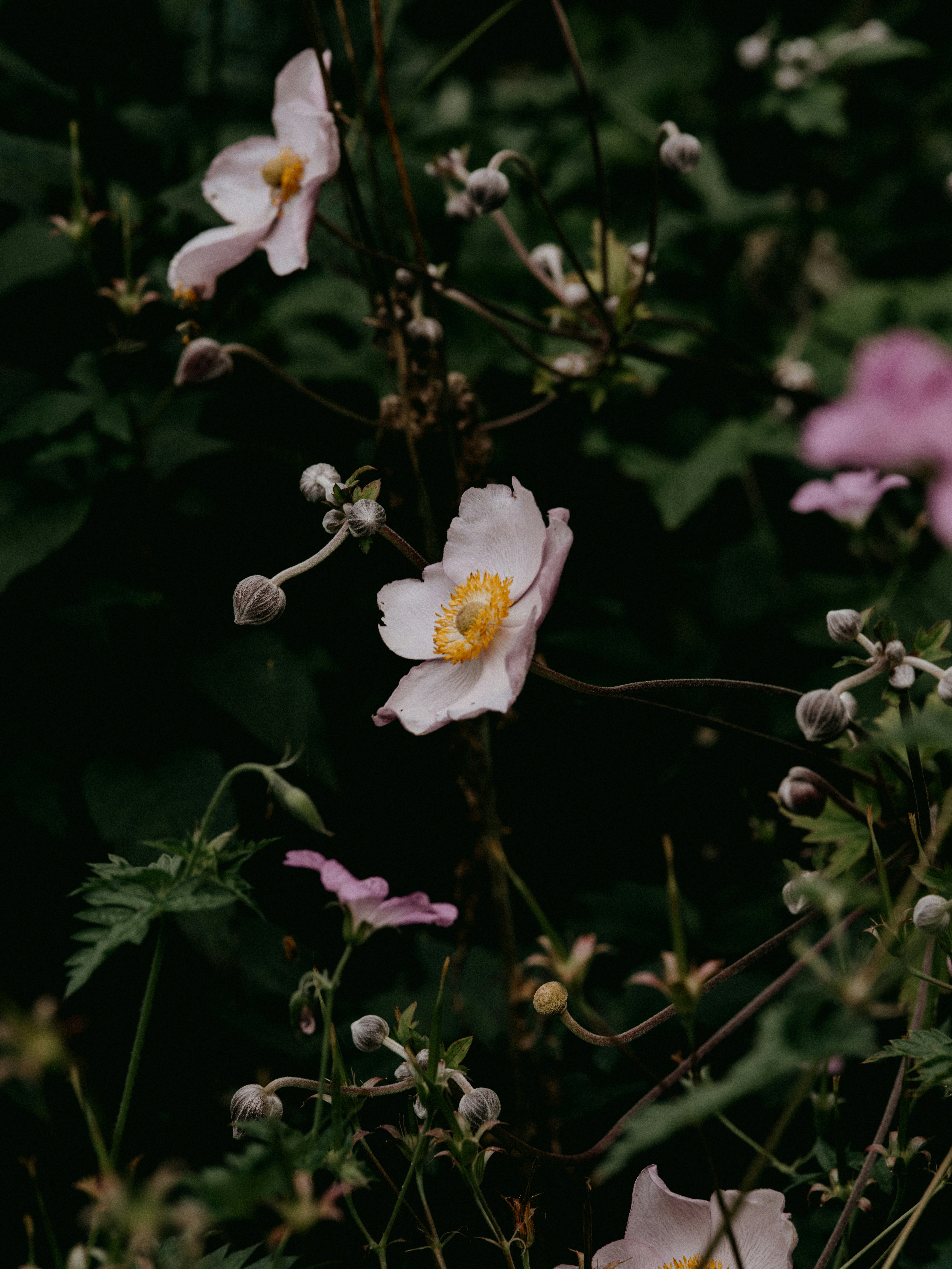 Photo by anniespratt