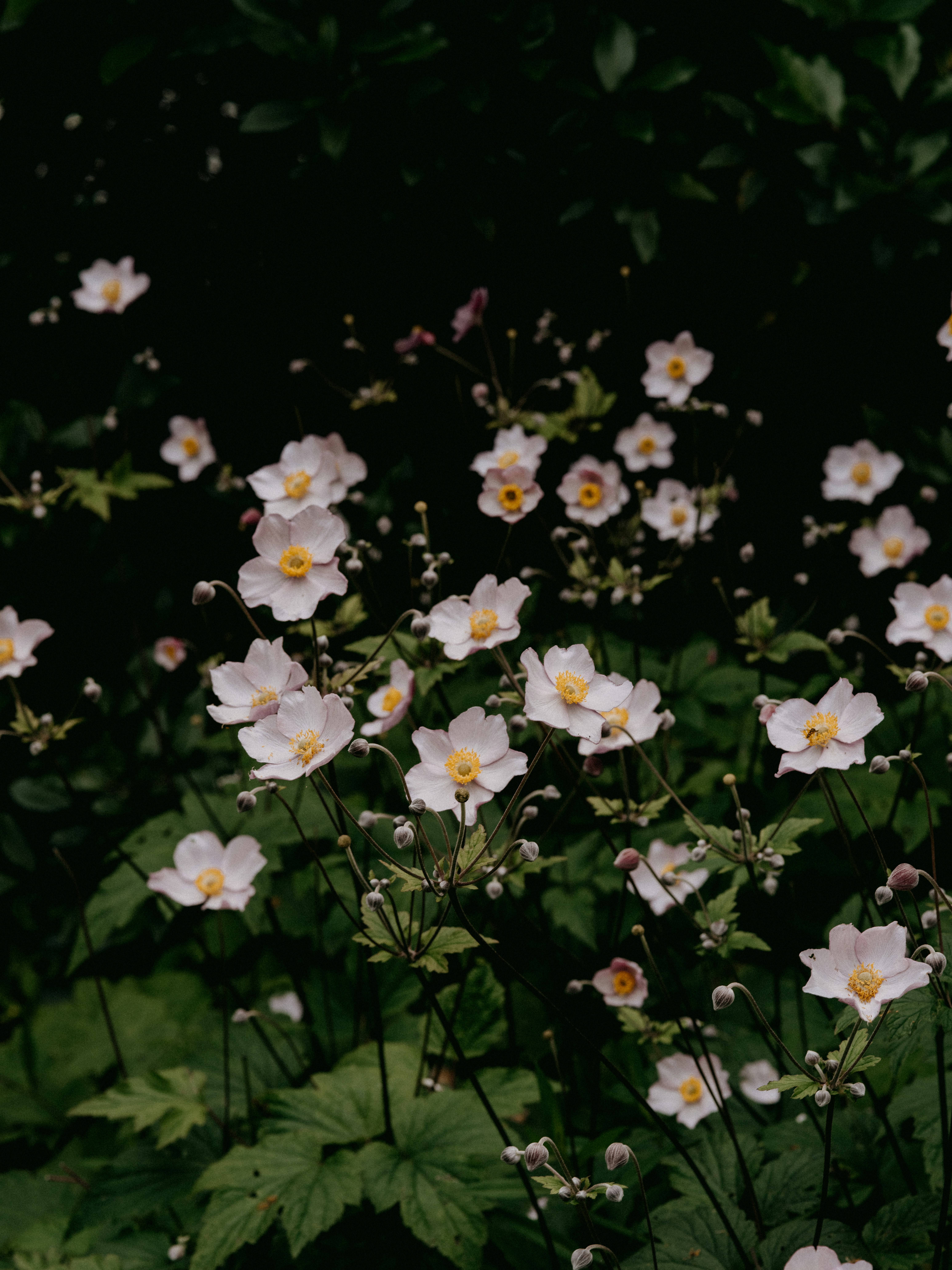 Photo by anniespratt