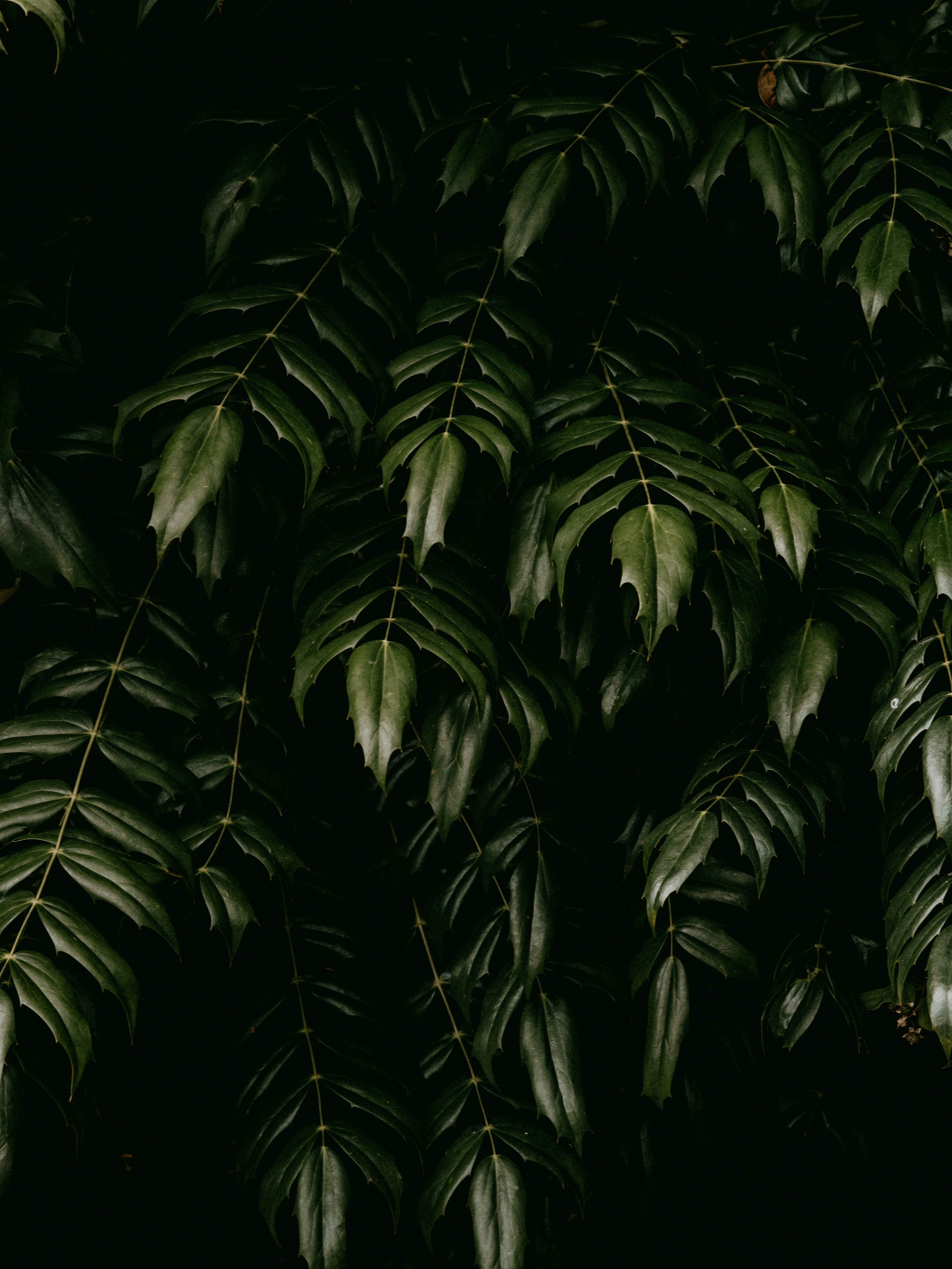 Photo by anniespratt