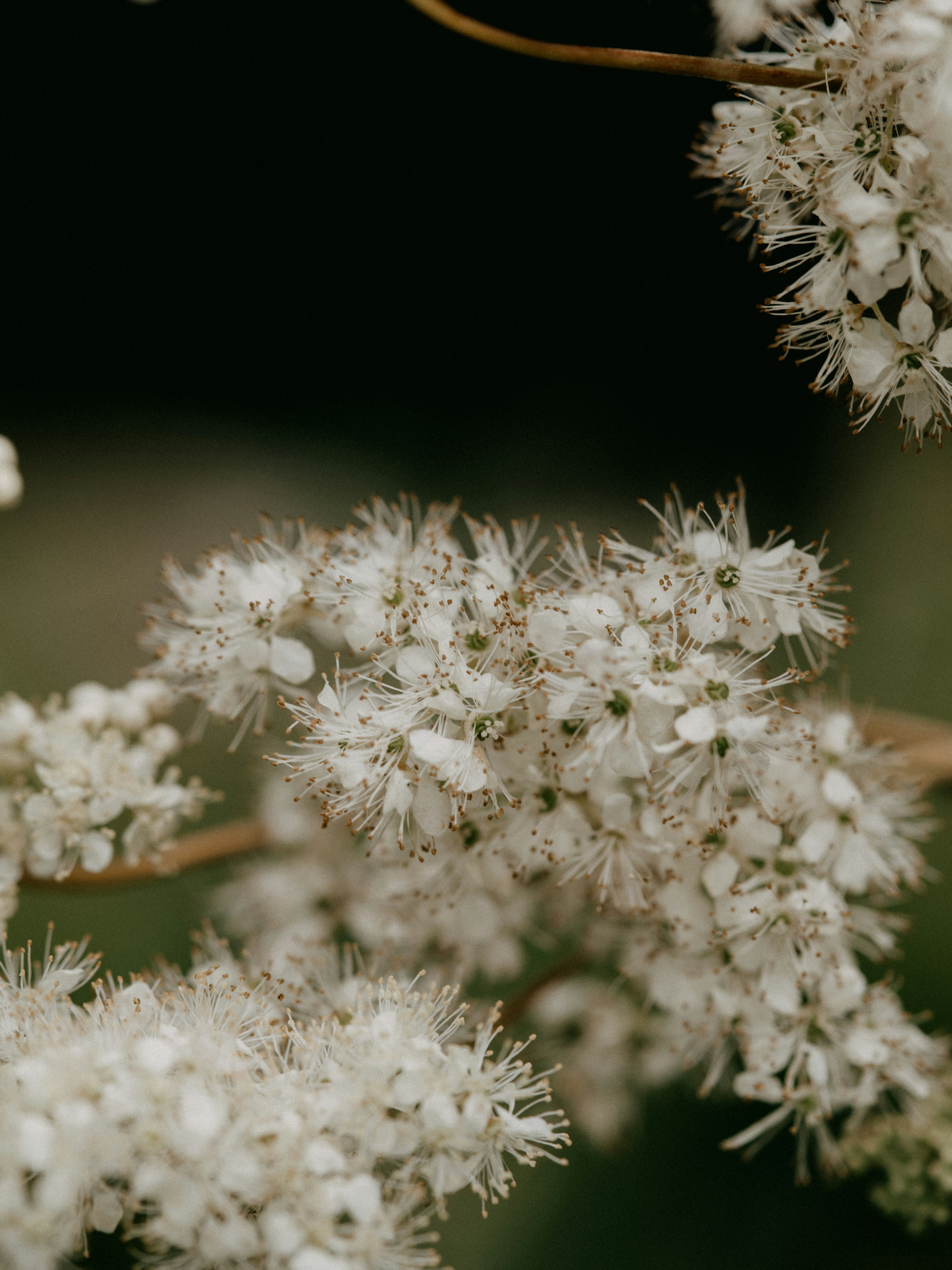 Photo by anniespratt