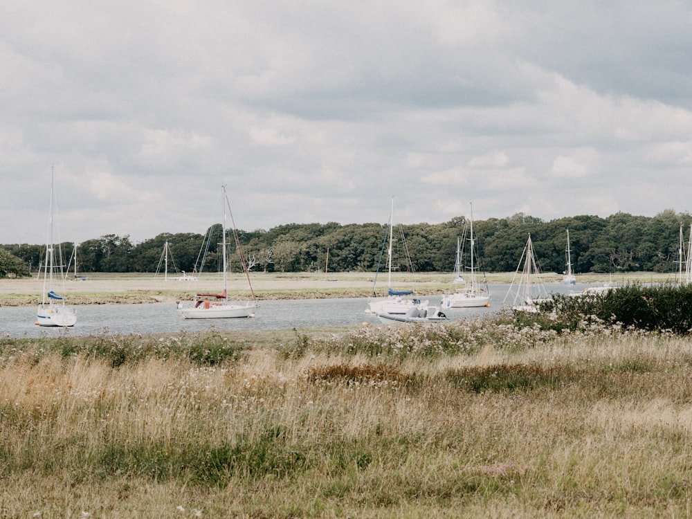 white boat on body of water during daytime