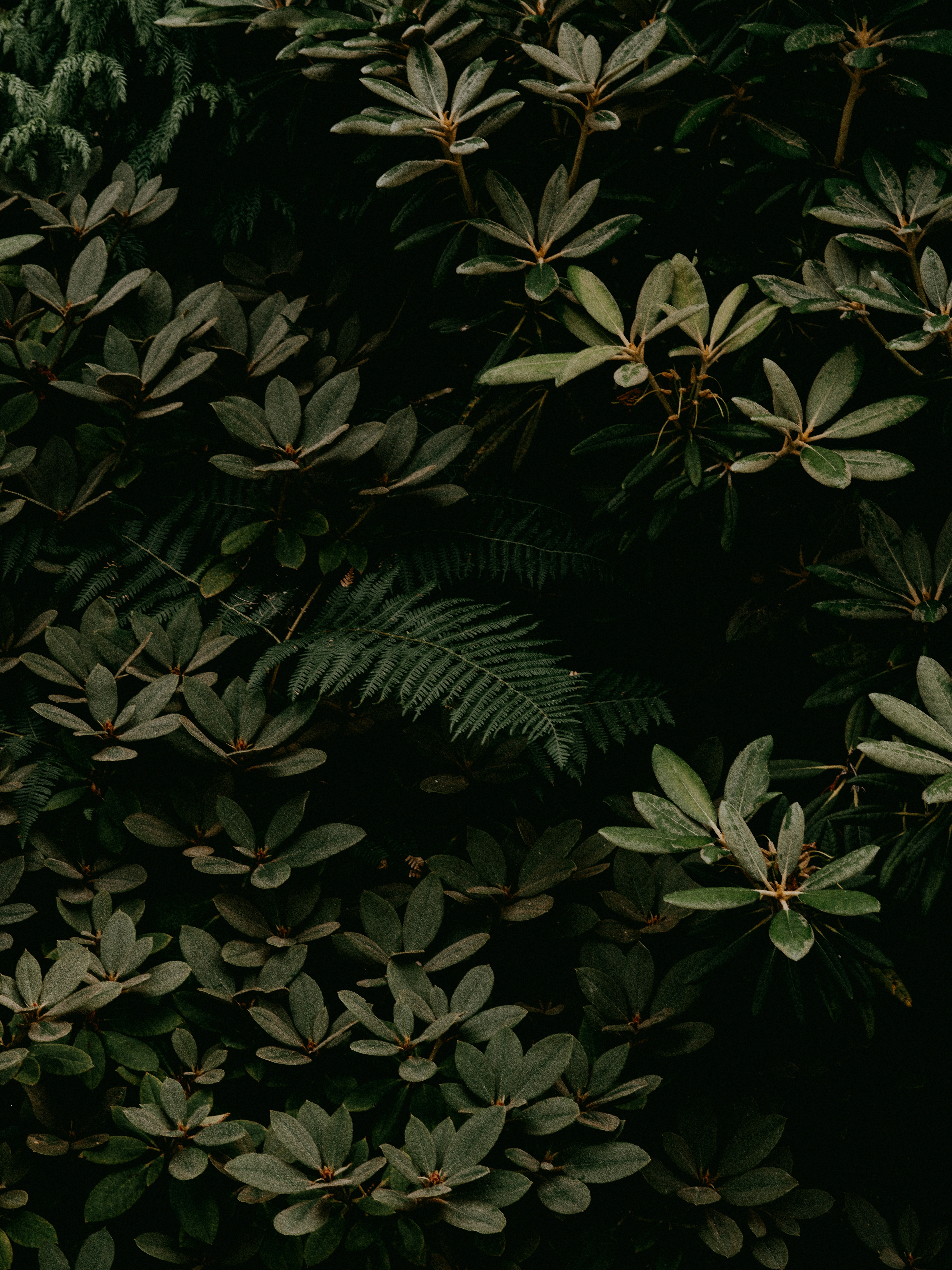 Photo by anniespratt