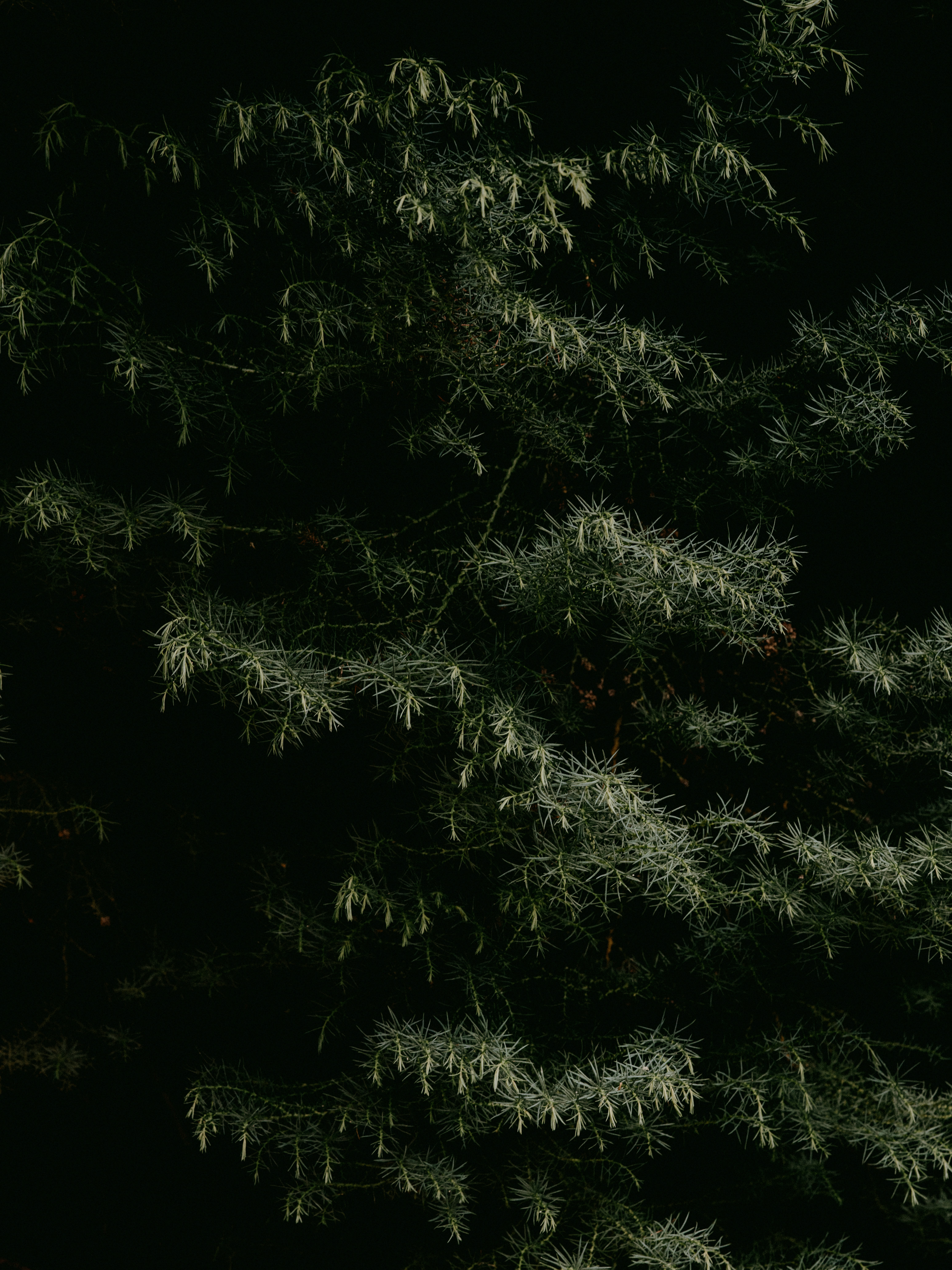 Photo by anniespratt