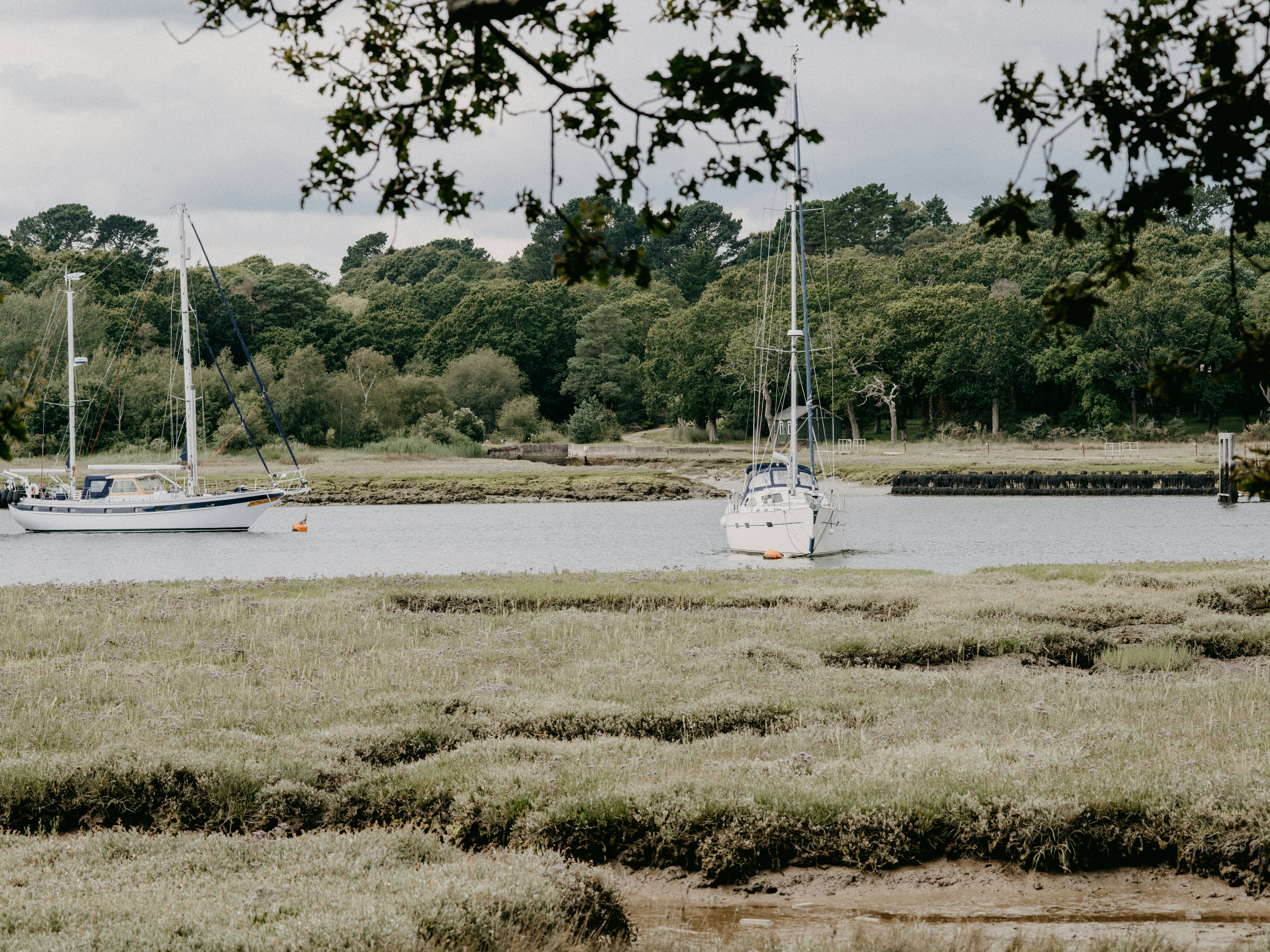 Photo by anniespratt