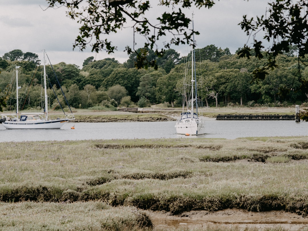 white boat on river during daytime