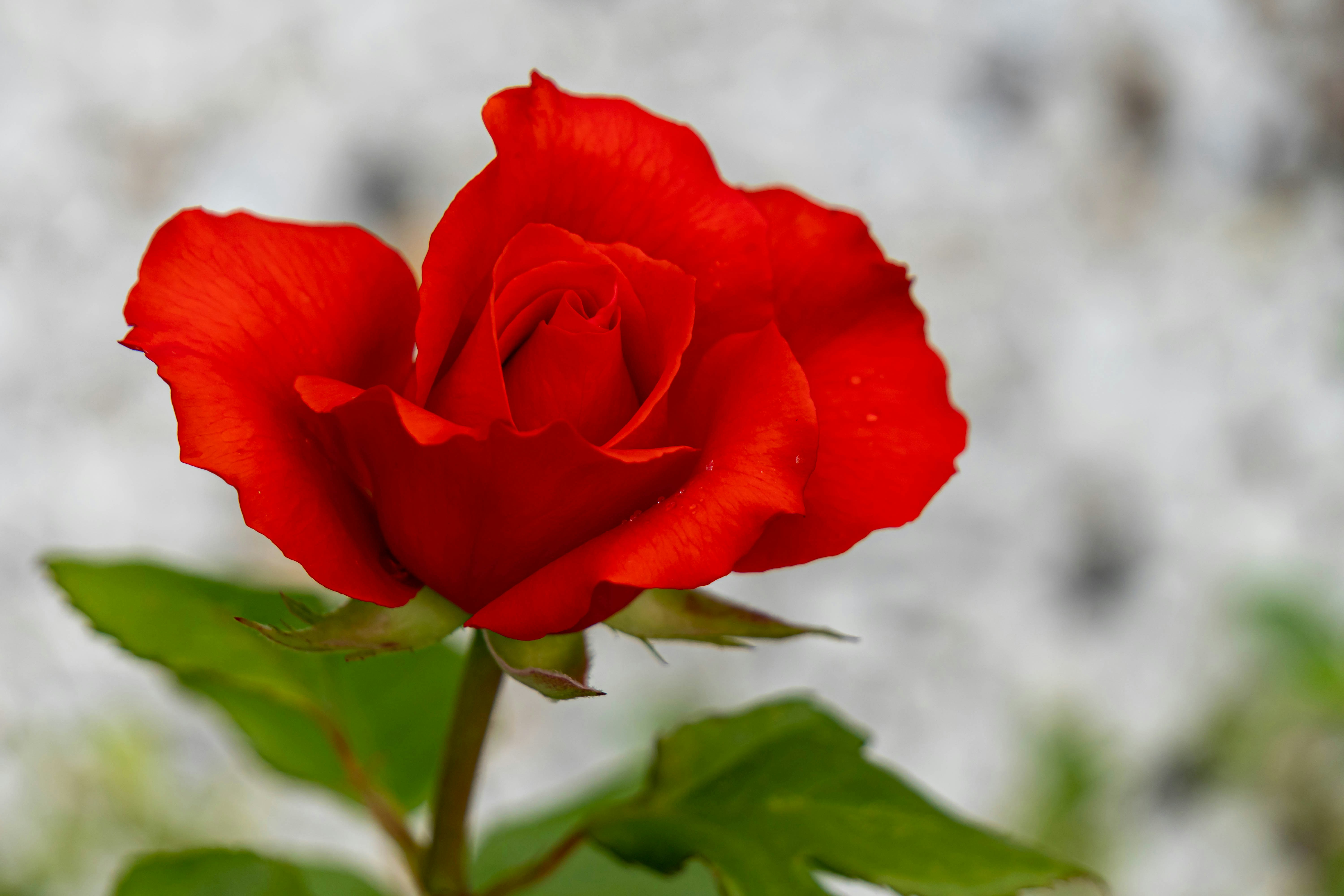 Photo by dmitry_beloglazov