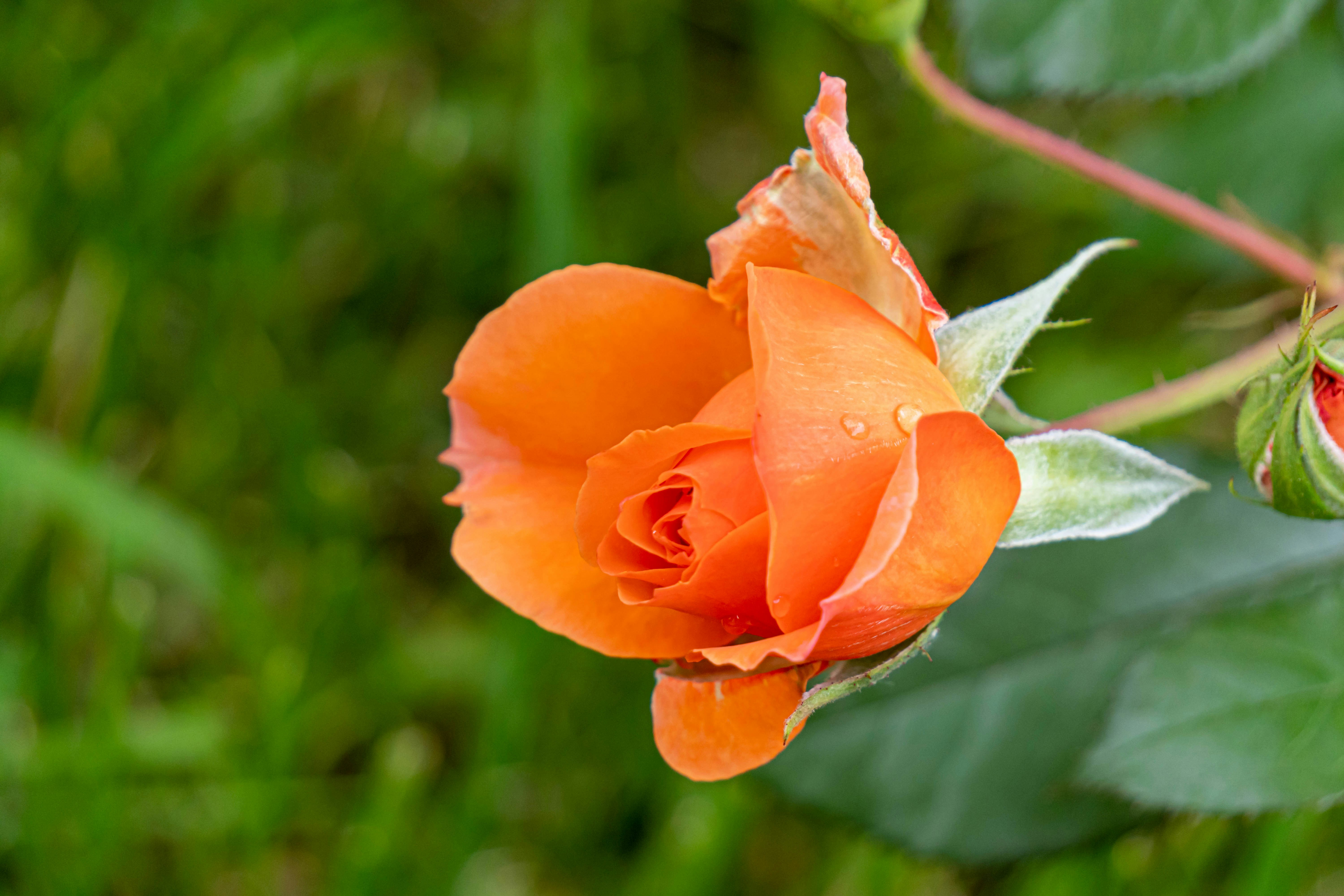 Photo by dmitry_beloglazov