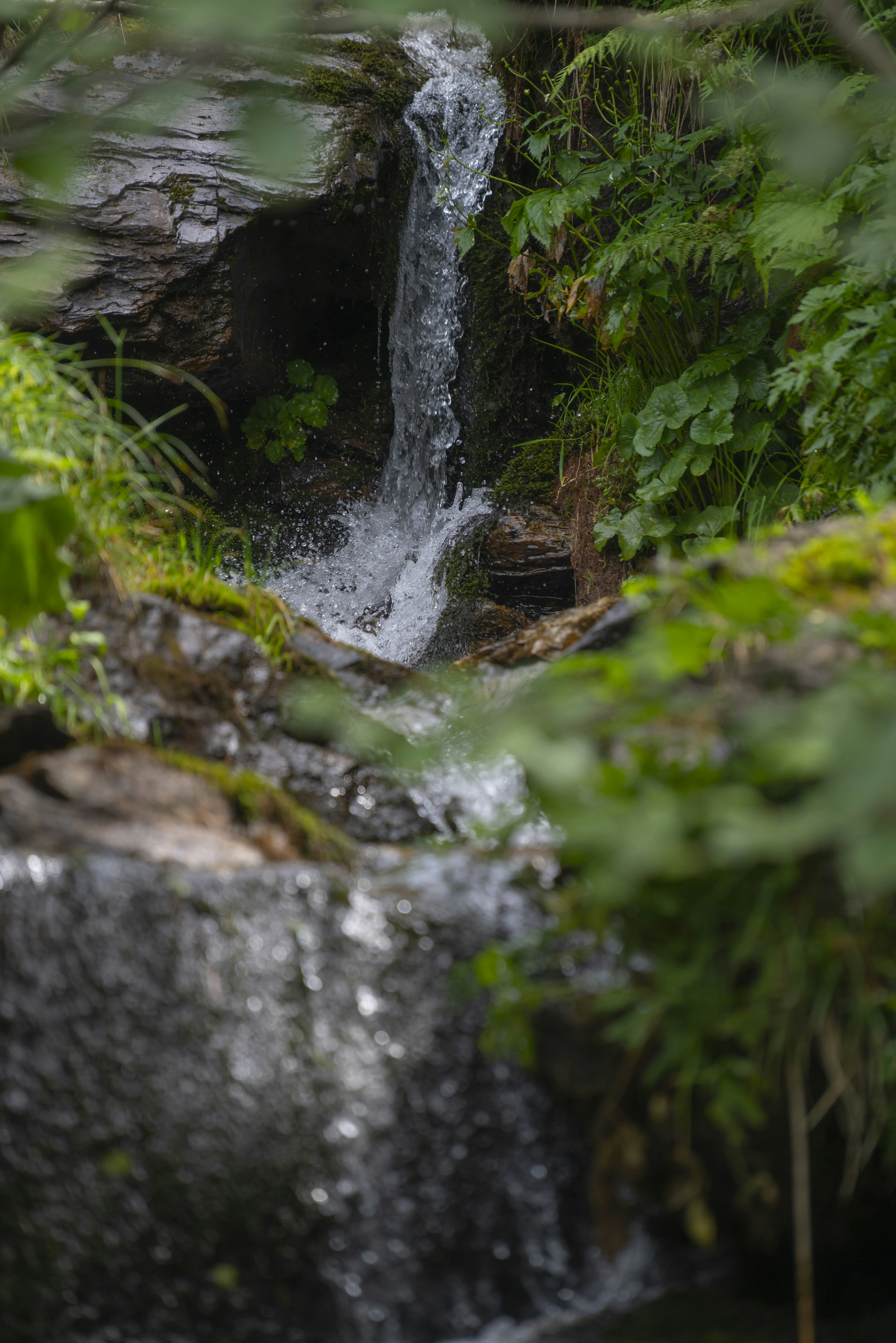 Photo by opohmelka