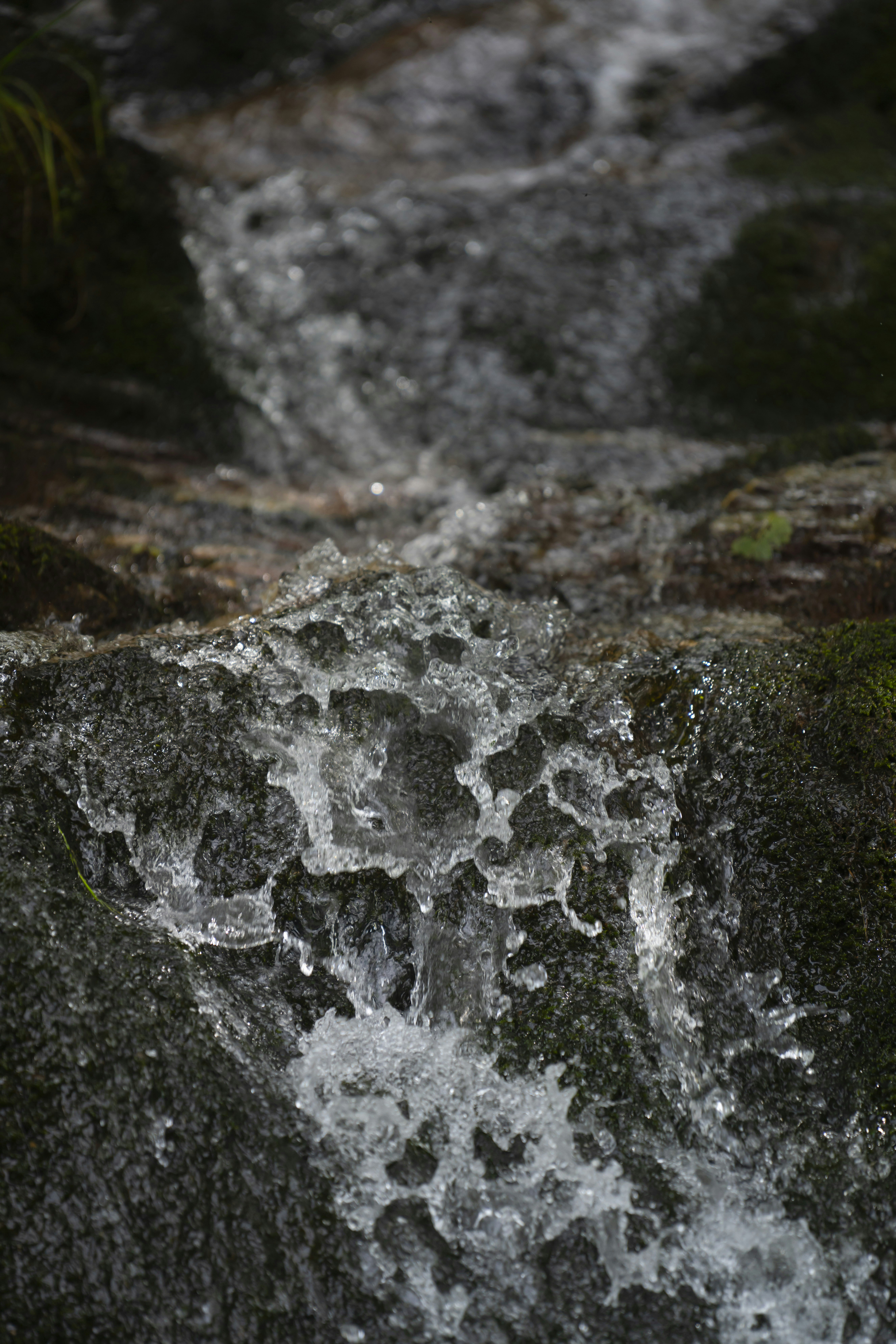 Photo by opohmelka