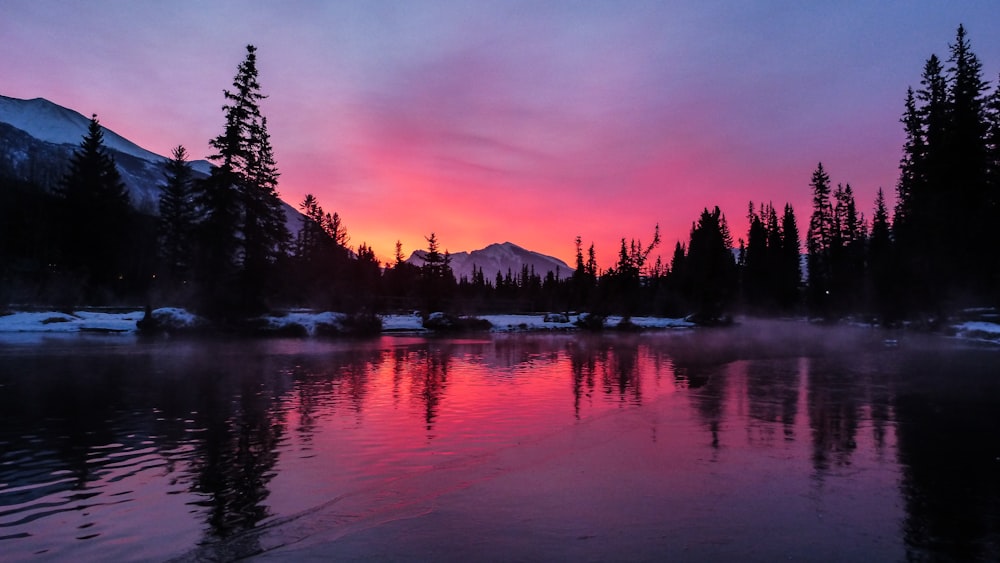 silhouette of trees near body of water during sunset