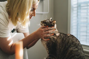 A smiling volunteer gently petting a playful kitten in a bright shelter room.