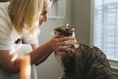 A happy adopter holding a newly adopted special needs cat in a sunlit room.