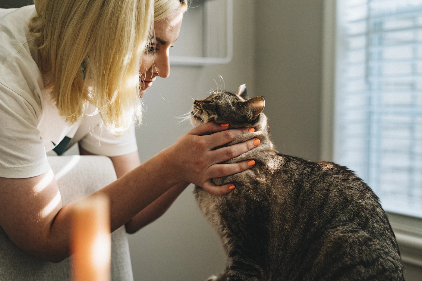 Veterinarian caring for a dog during a checkup
